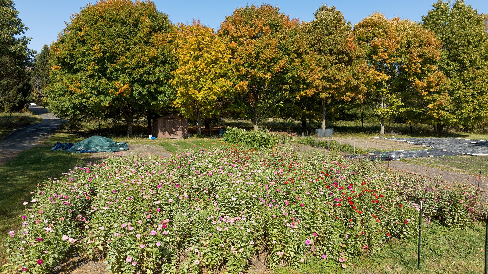 Fields Market Garden Volunteer Time