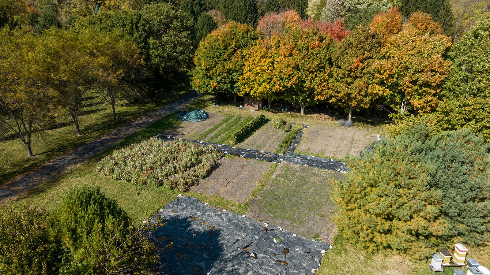 Garden to Salad Workshop