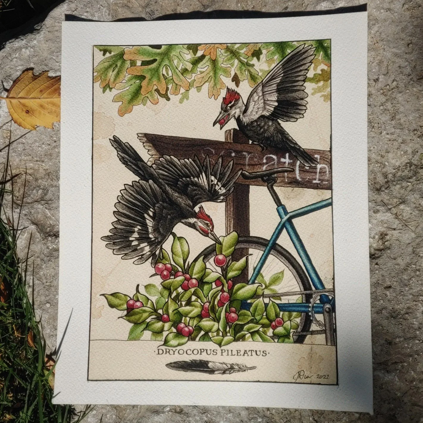 Red headed woodpecker and winterberry sit atop a wooden sign with a road bicycle leaning against the post. This piece was made for an avid biker and ornithologist who frequents craft breweries while riding his bike in Southern Illinois.