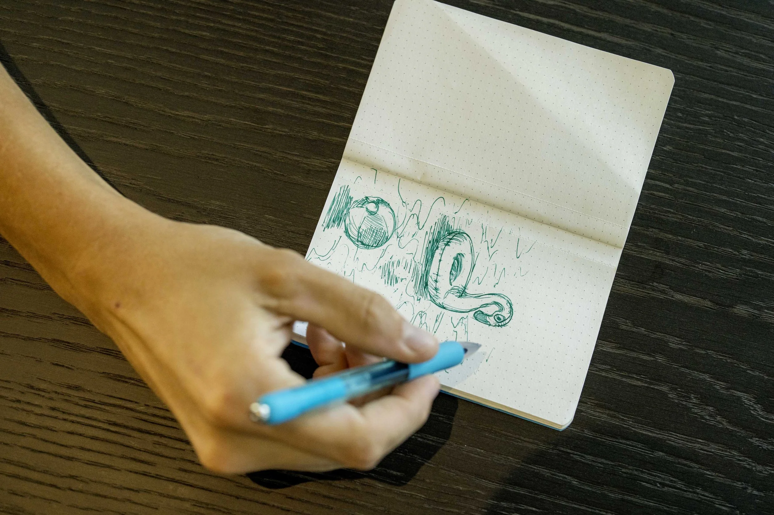 DSC03244-e.jpg