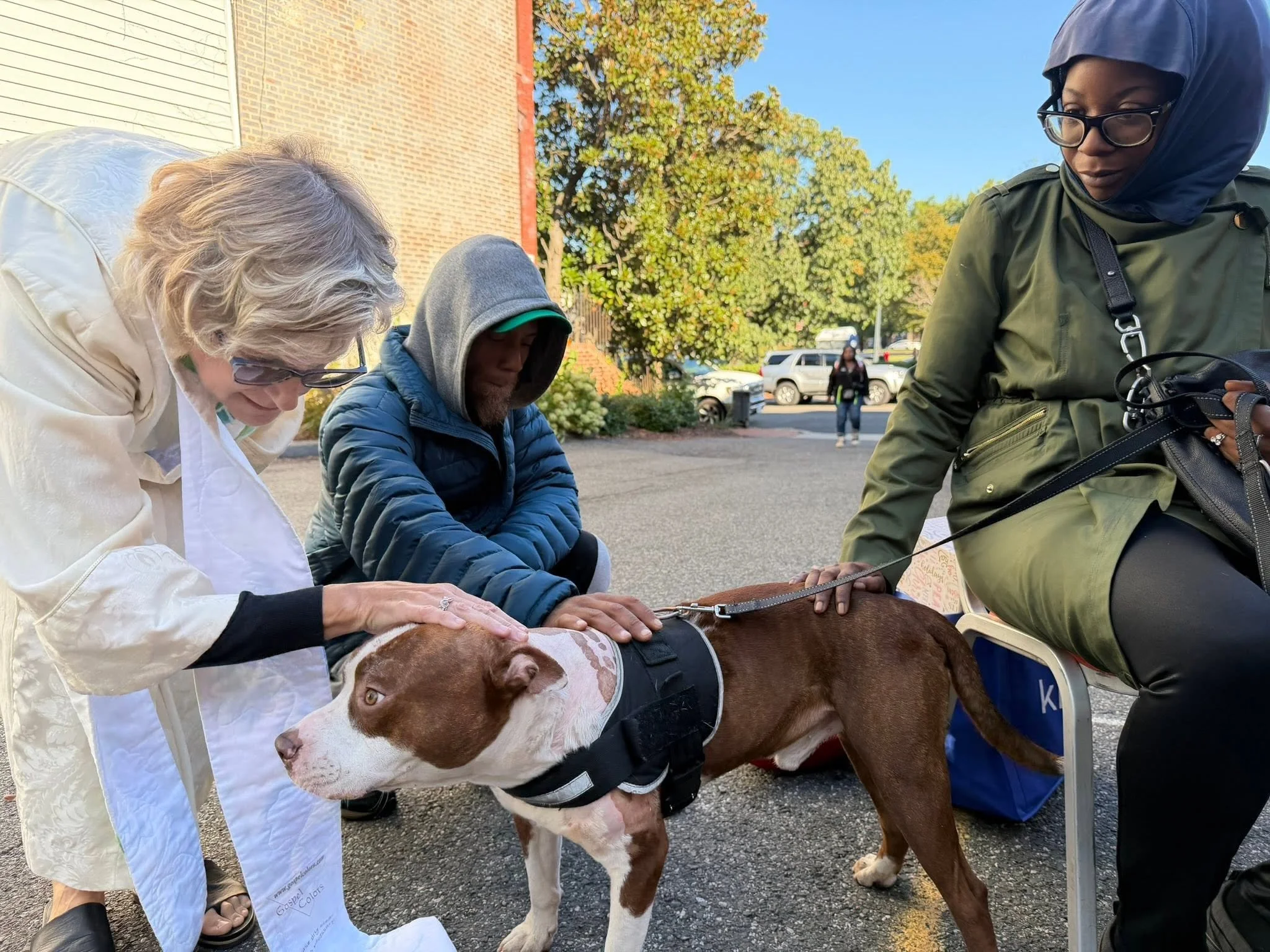 Blessing of the Animals & World Communion Sunday