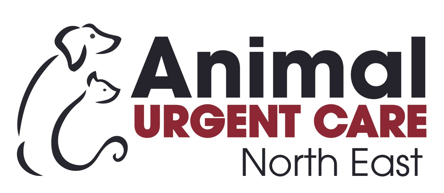 Animal Urgent Care - Brighton