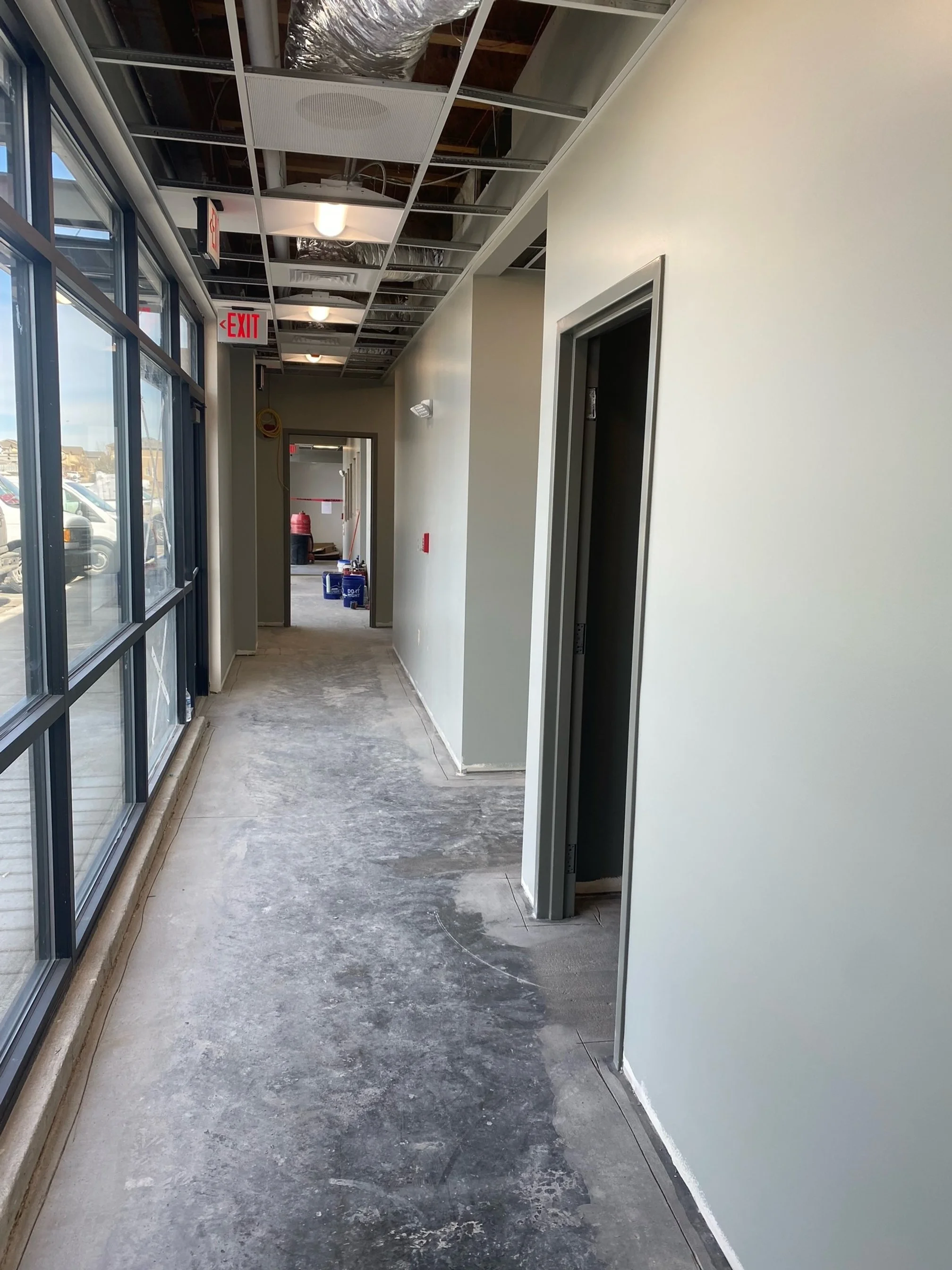 Animal Urgent Care Brighton