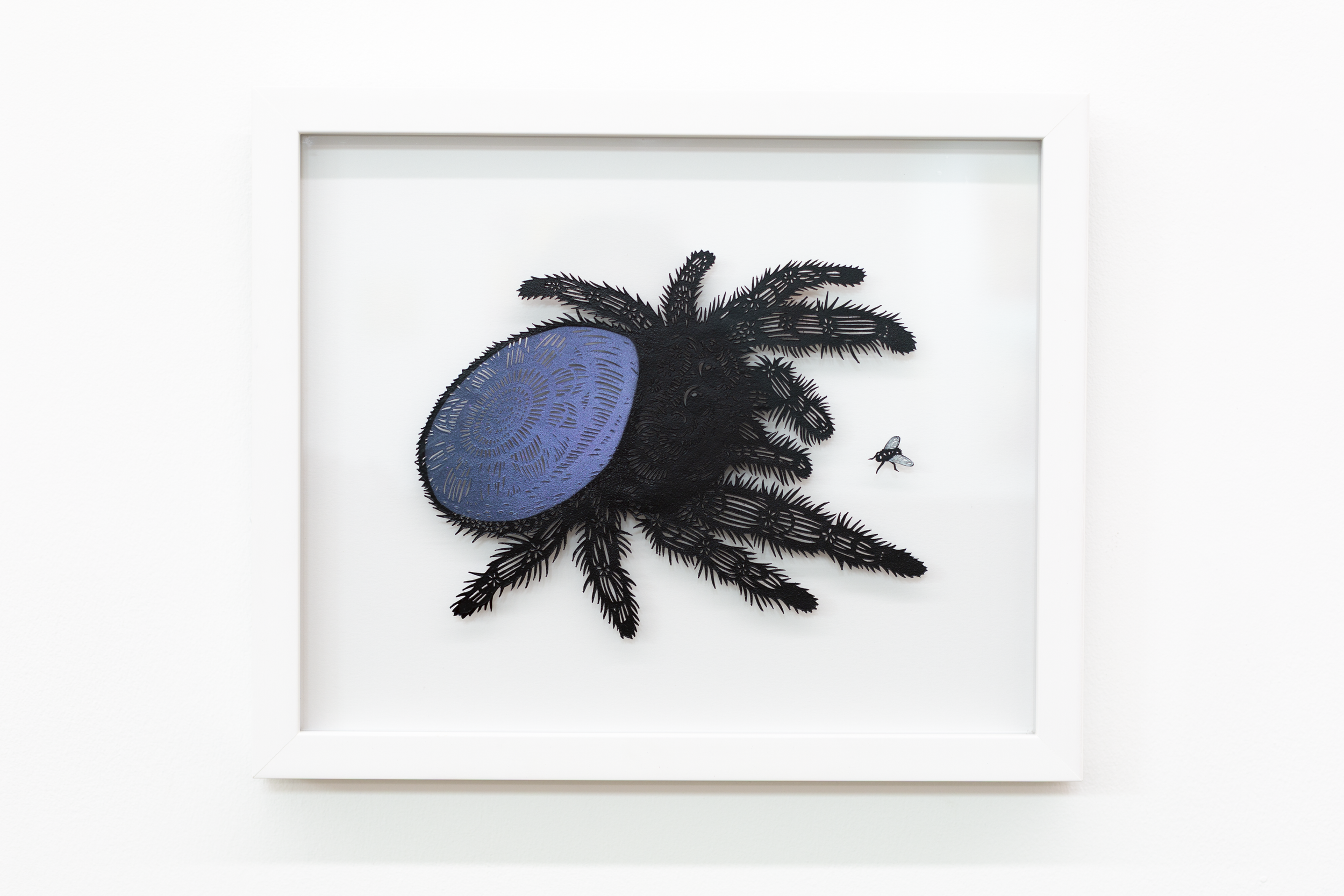 'Patience' Original acrylic on hand-cut paper on glass. Available through Modern Eden Gallery

“Patience” captures a moment. The quiet tension just before action. A jumping spider, perfectly still, faces a small fly that has just landed within reach.