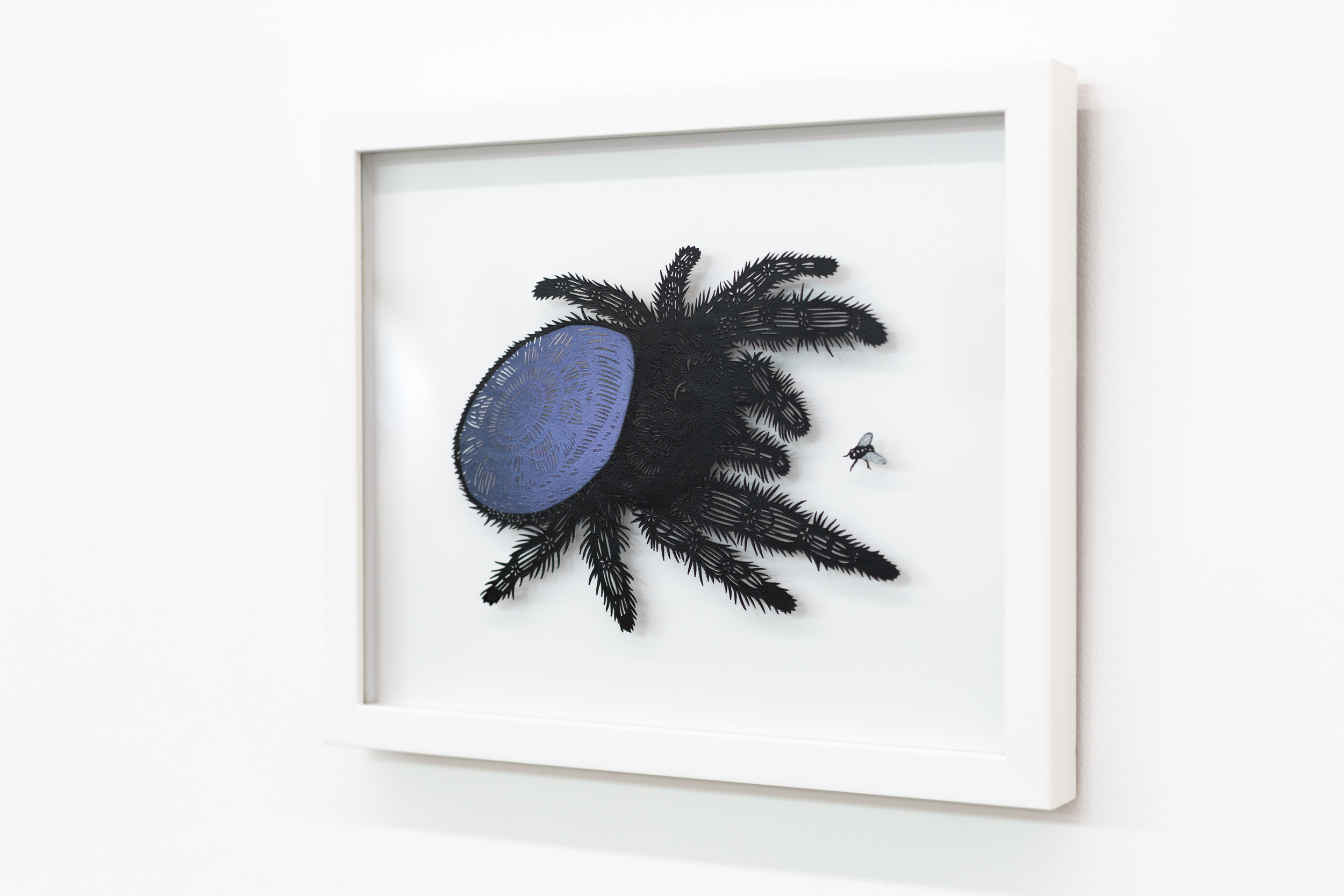 'Patience' Original acrylic on hand-cut paper on glass. Available through Modern Eden Gallery

“Patience” captures a moment. The quiet tension just before action. A jumping spider, perfectly still, faces a small fly that has just landed within reach.