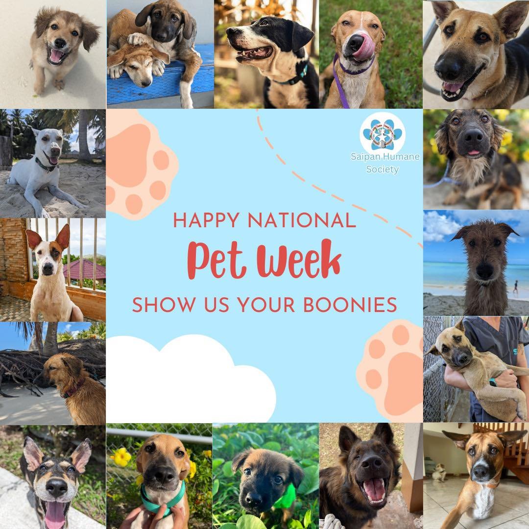 Happy National Pet Week 🐶🐾

Let's paws for a moment to appreciate the wagging tails, the gentle purrs, and the boundless love our pets bring into our lives! 🐶🐱Happy National Pet Week to all the cuddly companions who fill our days with joy, laught