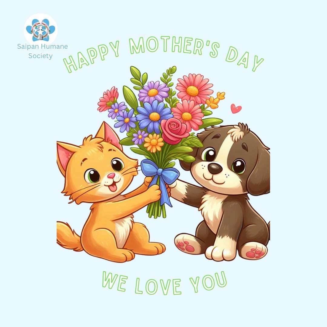 Happy Mother&rsquo;s Day from the team of Saipan Humane Society 🐶😊💙
