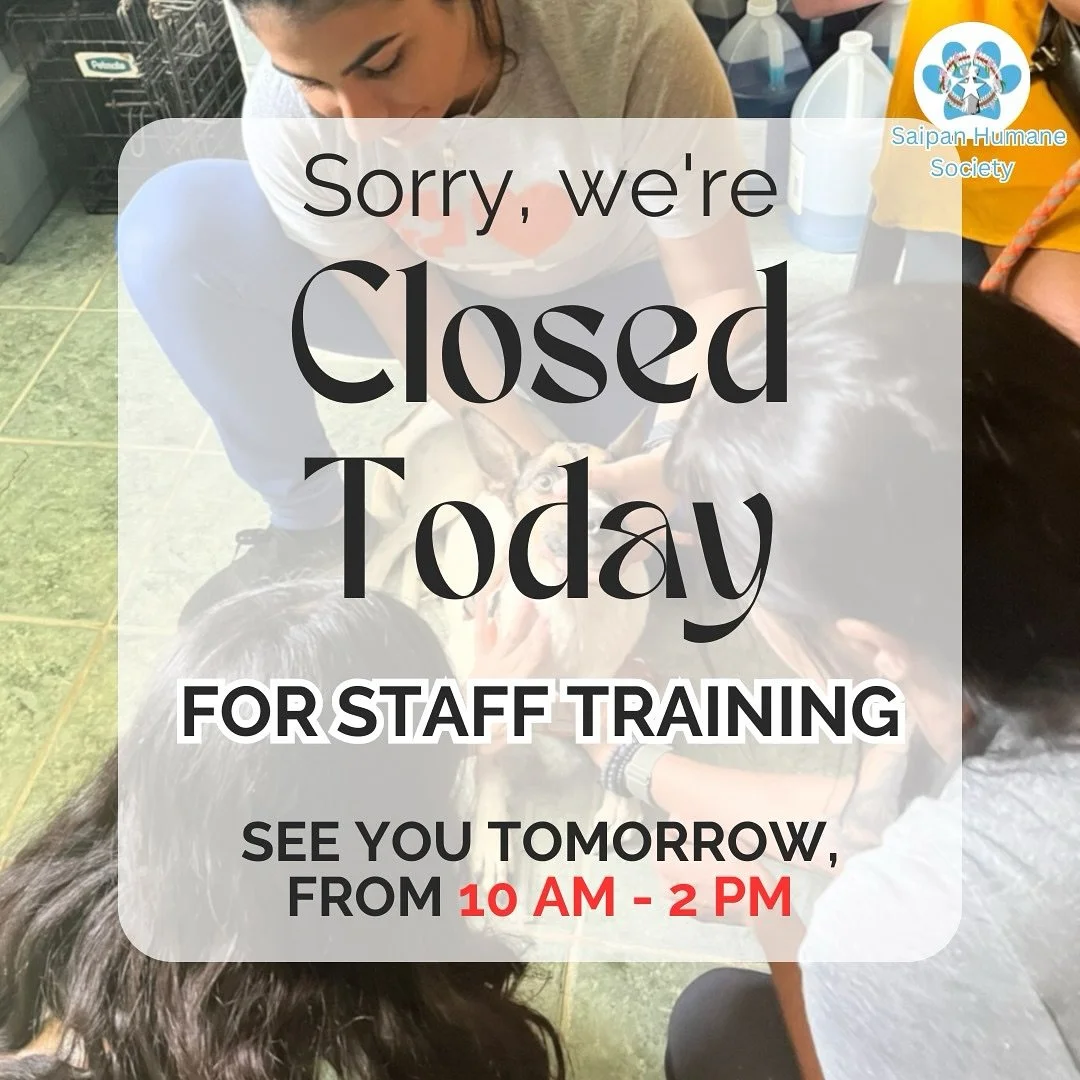 ‼️Attention, local community! 📢‼️

Today, July 17th, we will be closed for staff training. We will resume our clinic hours tomorrow from 10 AM - 2 PM. Thank you for your understanding and support! 🐾 #ClinicClosed #StaffTraining #SaipanHumaneSociety