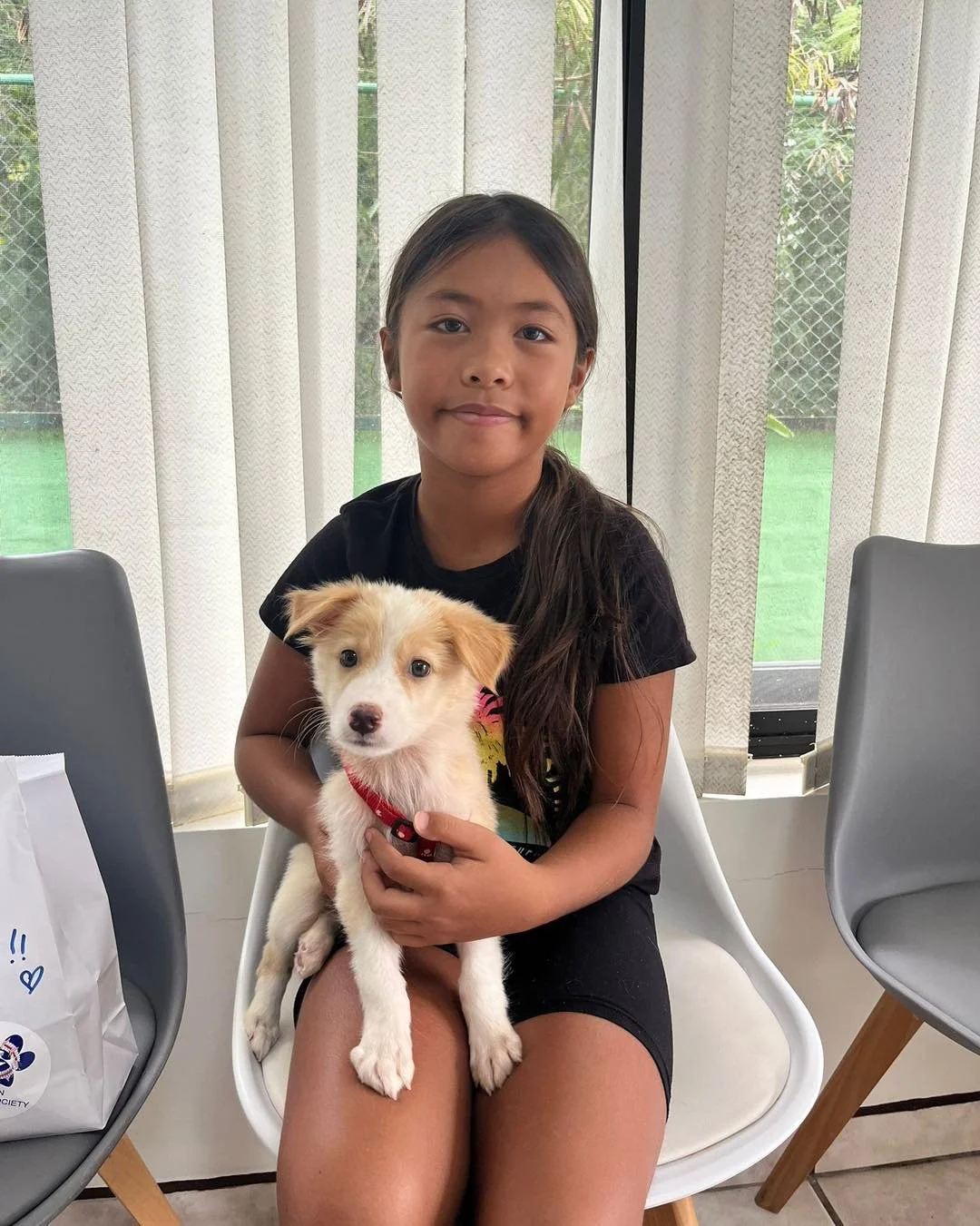 Great news! Casper has found his forever home with a lovely family. Wishing this sweet pup lots of cuddles and joy! 🐾❤️ #Adopted #saipanhumanesociety