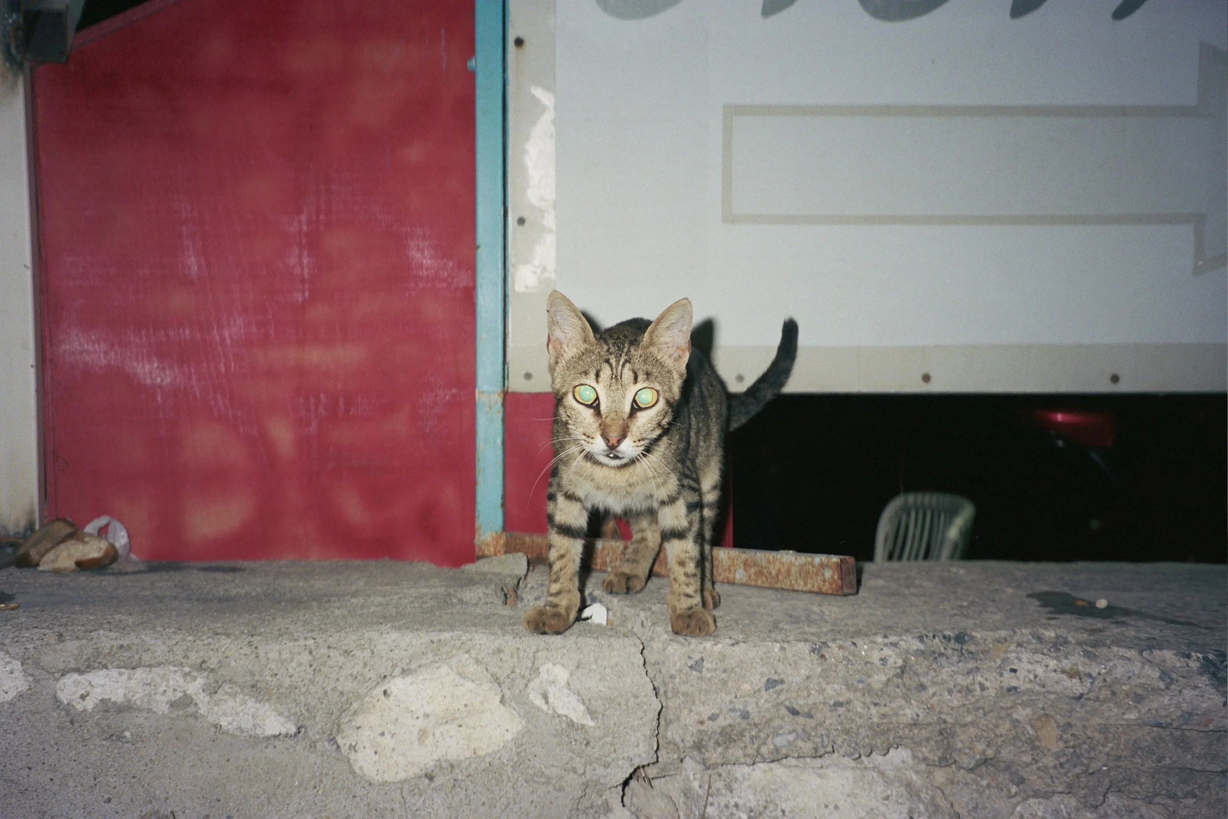 _7A_1290.jpg