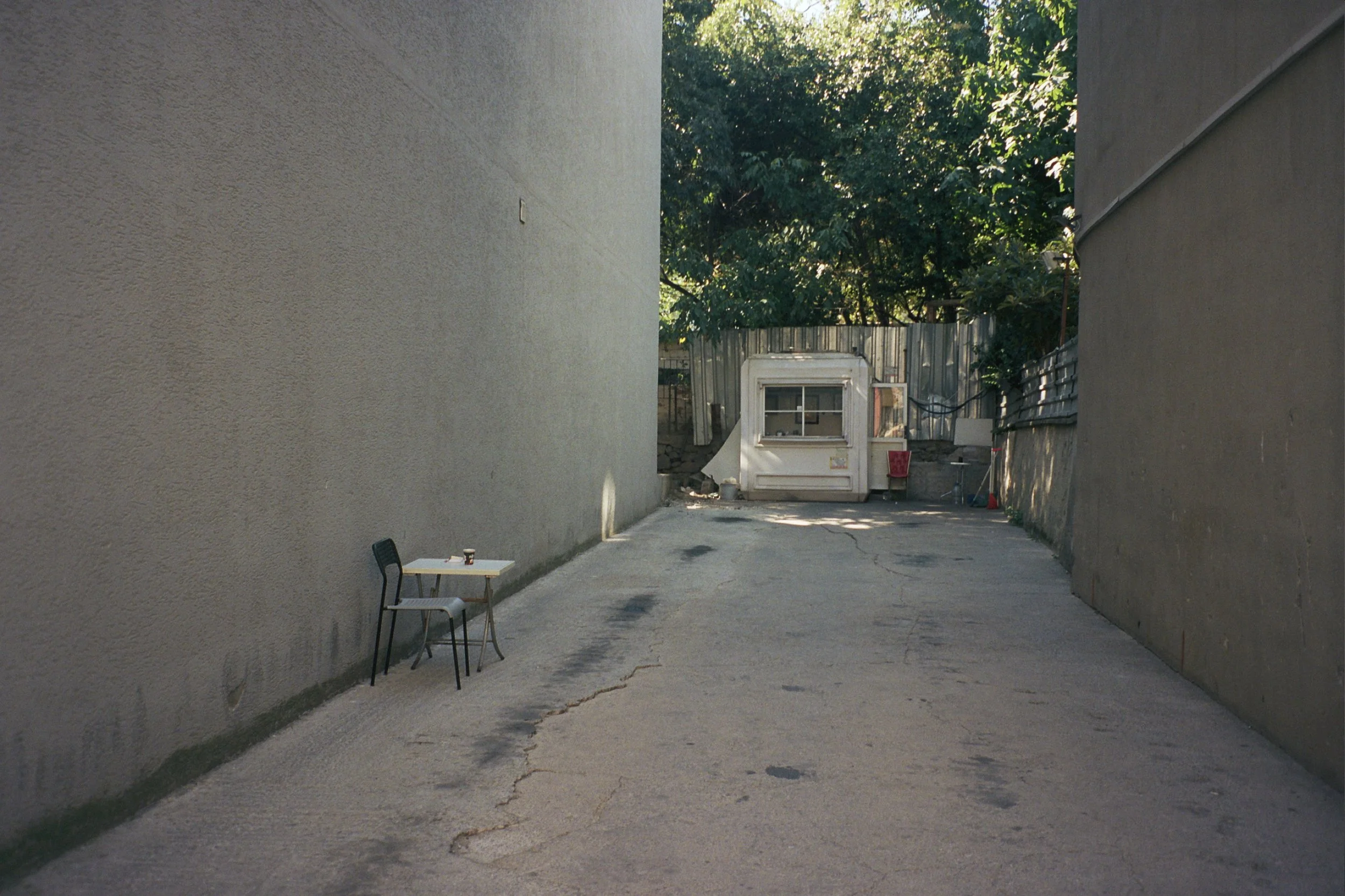 31A_1266.jpg