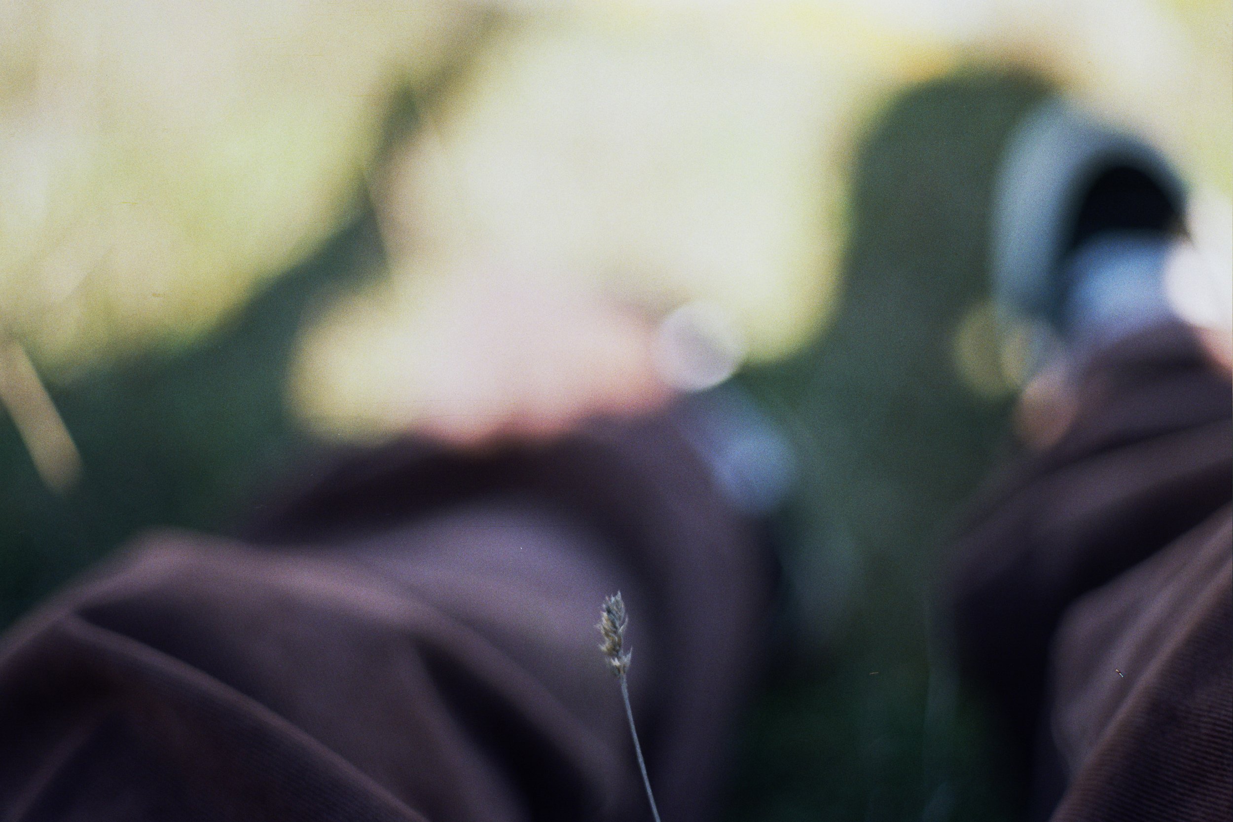 _37_0298.jpg