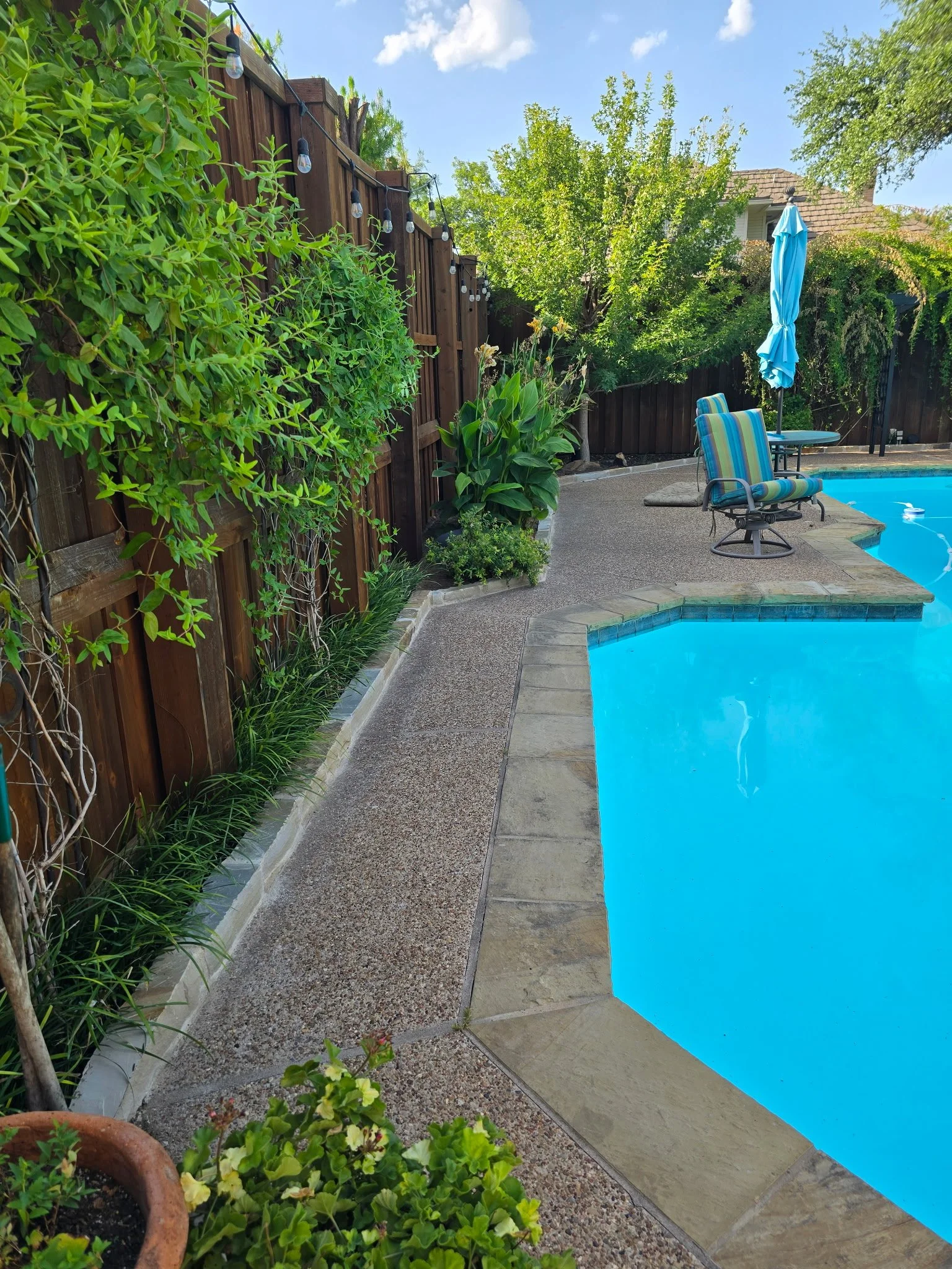 A backyard swimming pool area with chairs, a closed blue umbrella, trees, and a wooden fence with string lights.