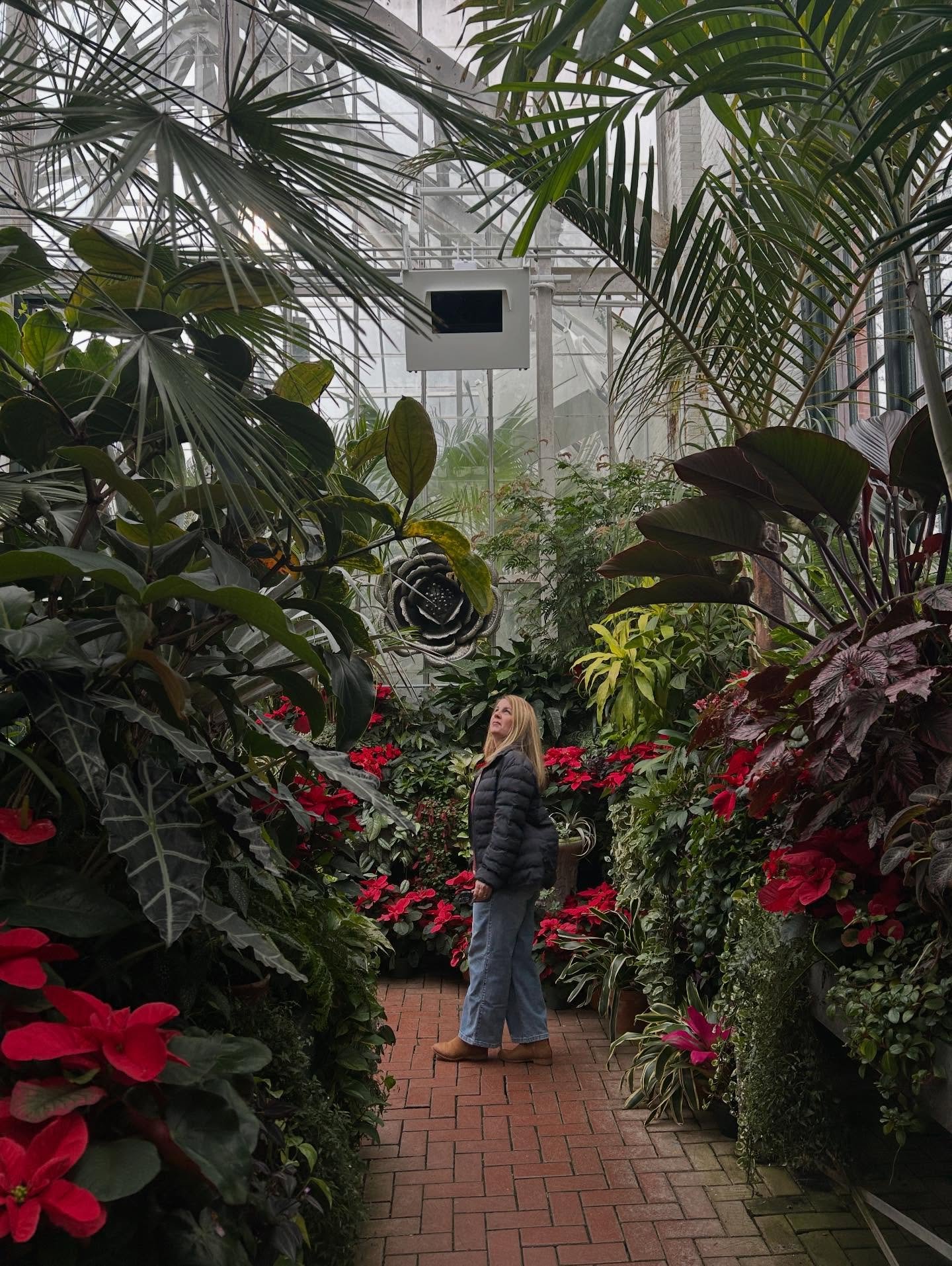 grateful for all of the moments of stillness in the chaos this month. constantly learning to slow down 🌲🎄