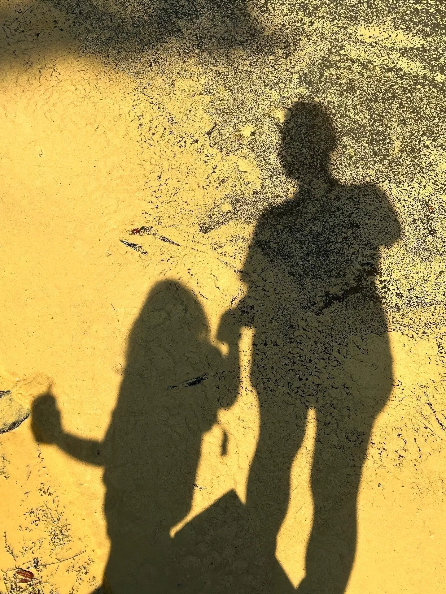 An ode to pollinator bees 

So much work going on behind the scenes - every year I come to the water and watch the thick yellow top layer morph into different shapes. 

Pollinators are key gardeners. We&rsquo;d have no food without them