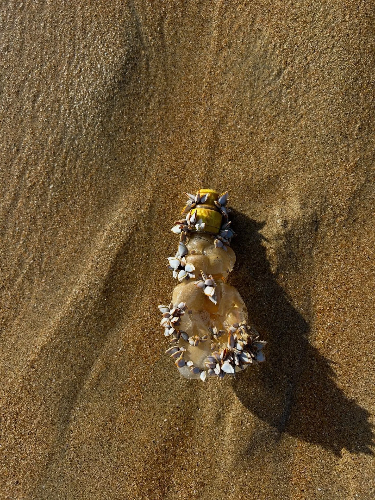 It&rsquo;s still earth day in my books 📝