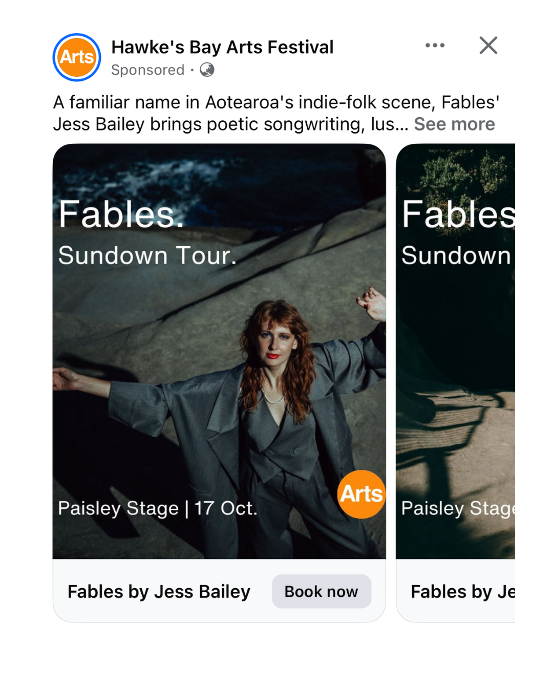 Paid Meta Advertising