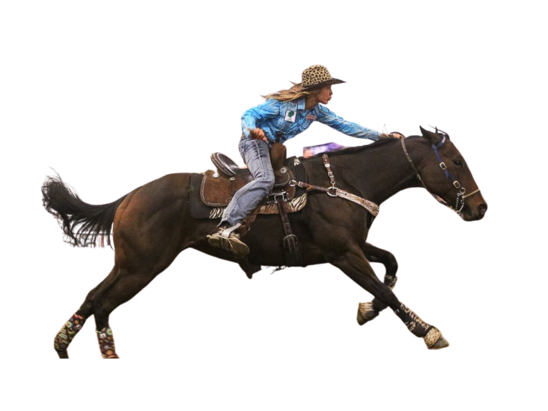 General 1 — Madison County Fairgrounds