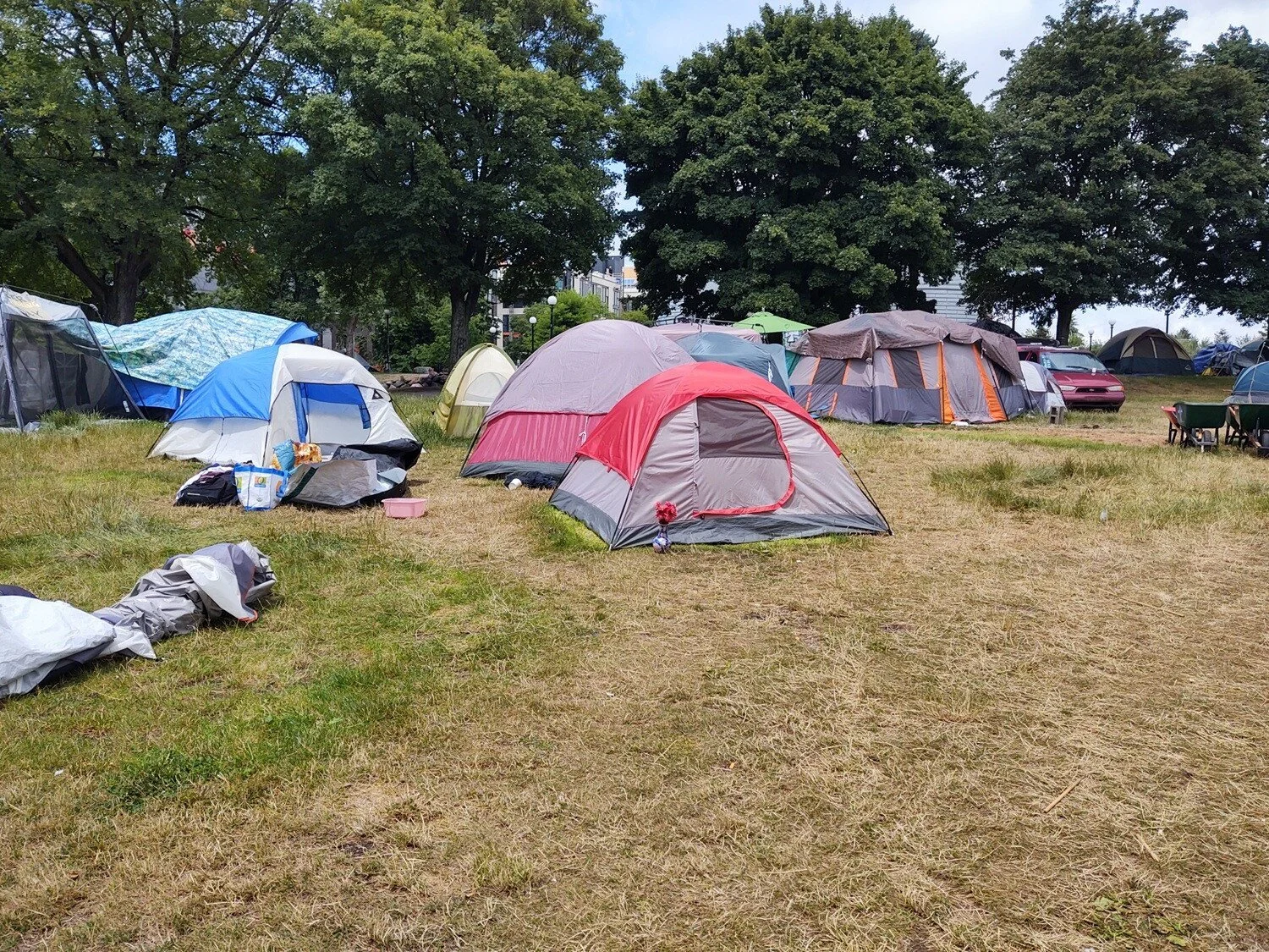 About a dozen tents, a maroon minivan, and a wheelbarrow sit on patchy brown grass, surrounded by large trees.