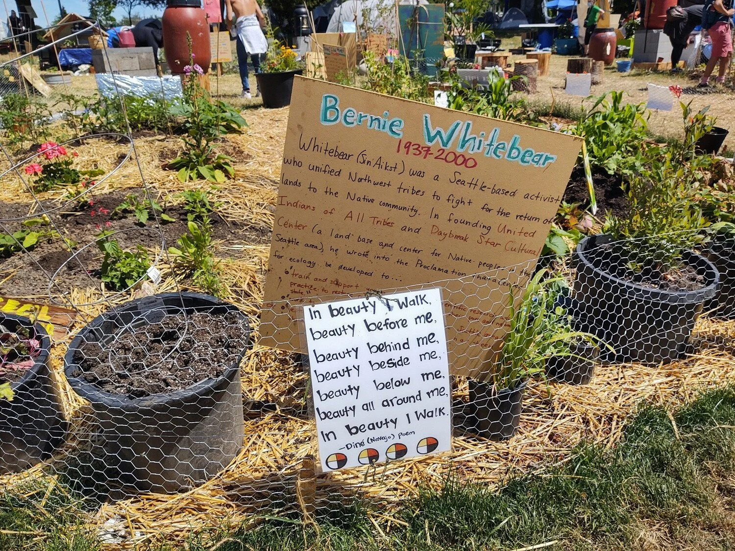 A short biography of Seattle activist Bernie Whitebear is staked in the CHOP garden between large pots and vegetables.