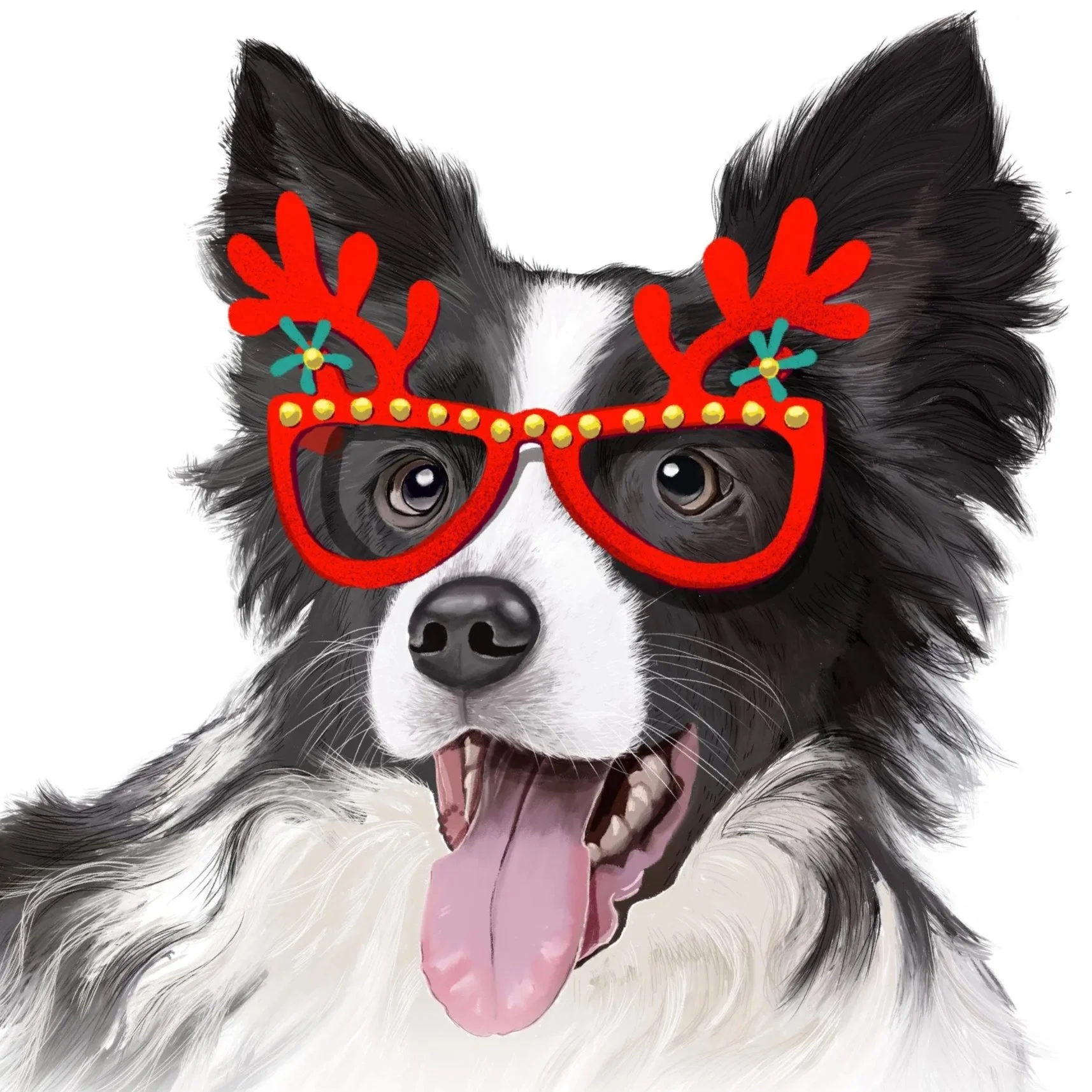 Border+Collie+white+faded+Christmas+copy.jpg