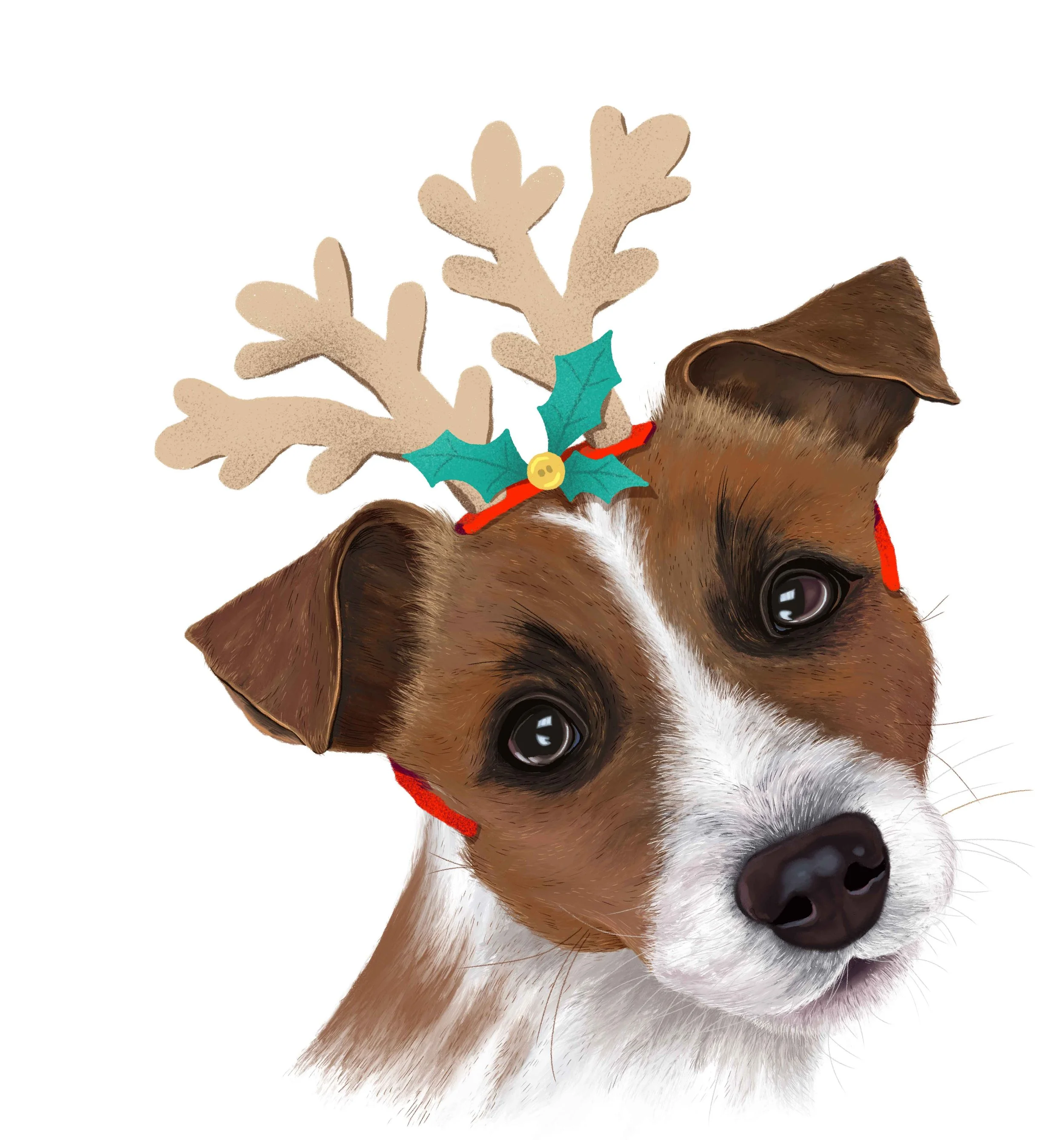 Jack-Russell-Christmas.jpg