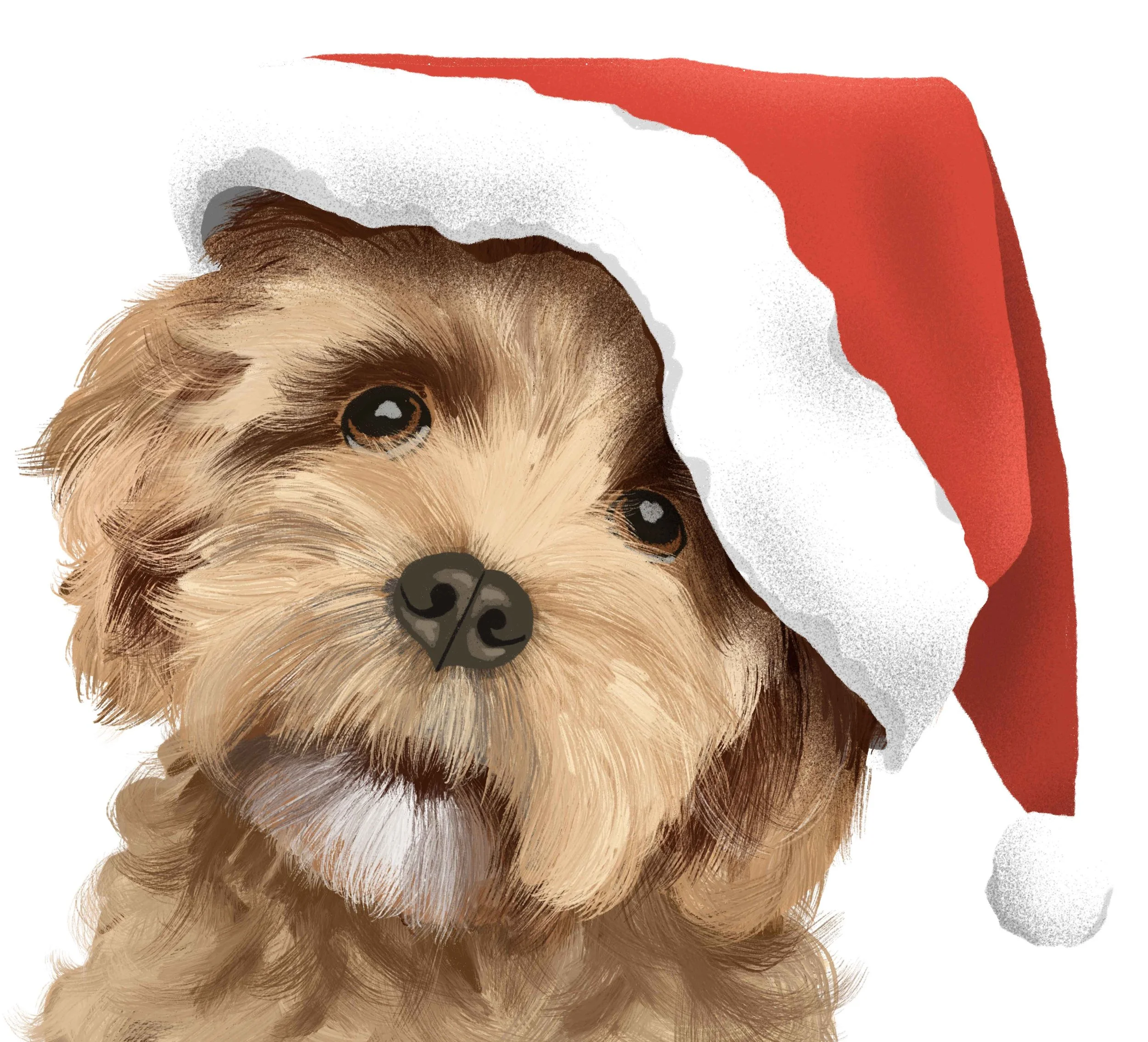 Cavoodle_2_Christmas_LoRes.jpg