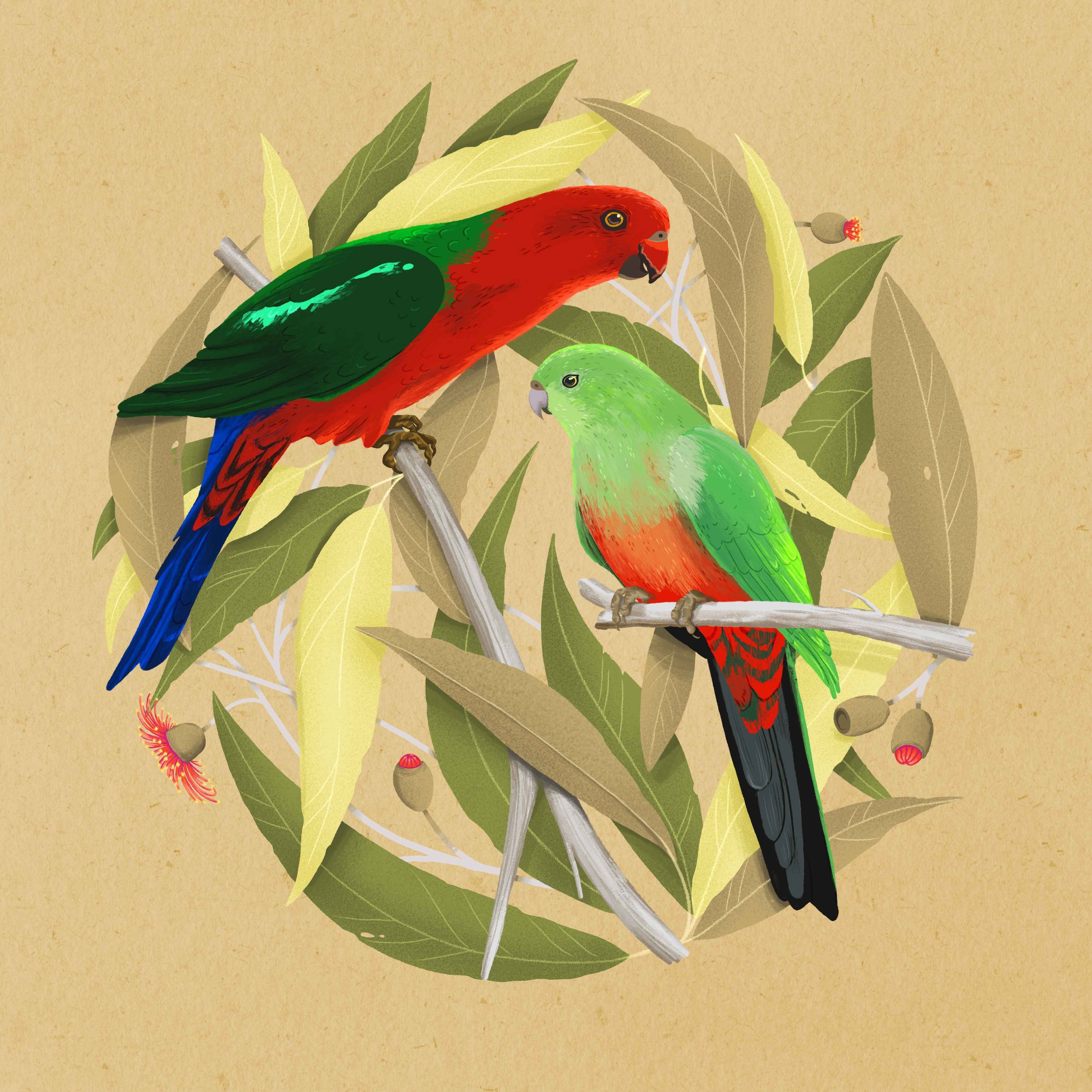 King_Parrot_LoRes.jpg