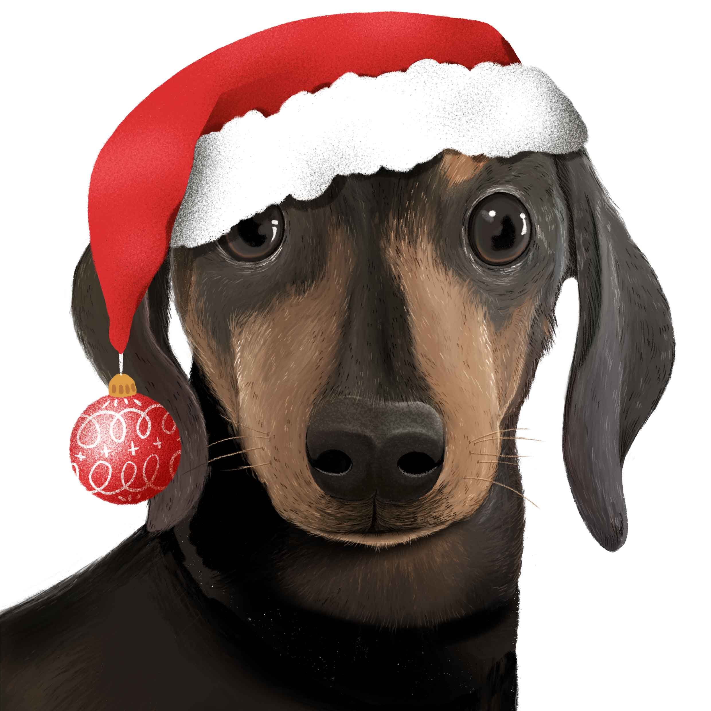 Dachshund-Christmas_LoRes.jpg