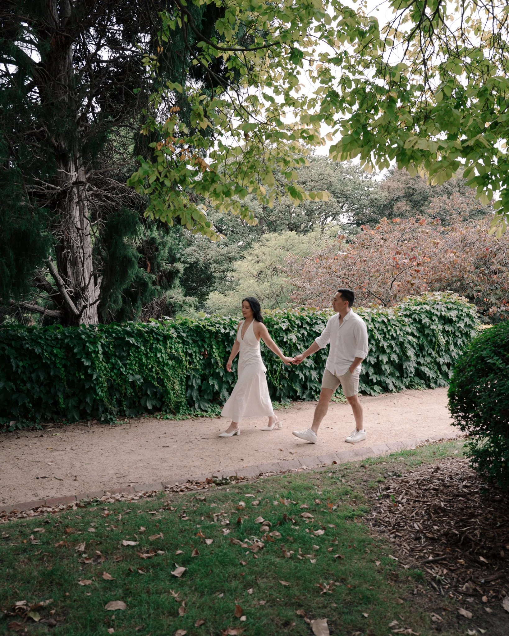 1. MSA_A&R_Engagement_WR-1.jpg