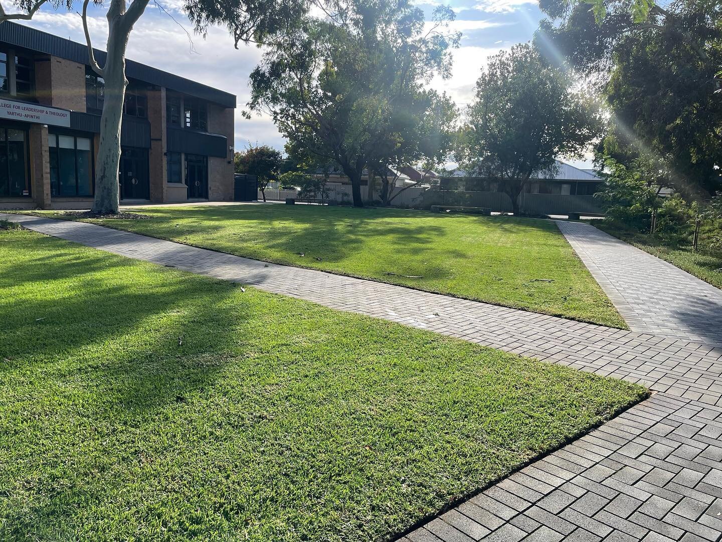 This lawn coming up nicely with weekly care

#contemporarygardenco #gardenmaintenance #lawncare #adelaide #southaustralia