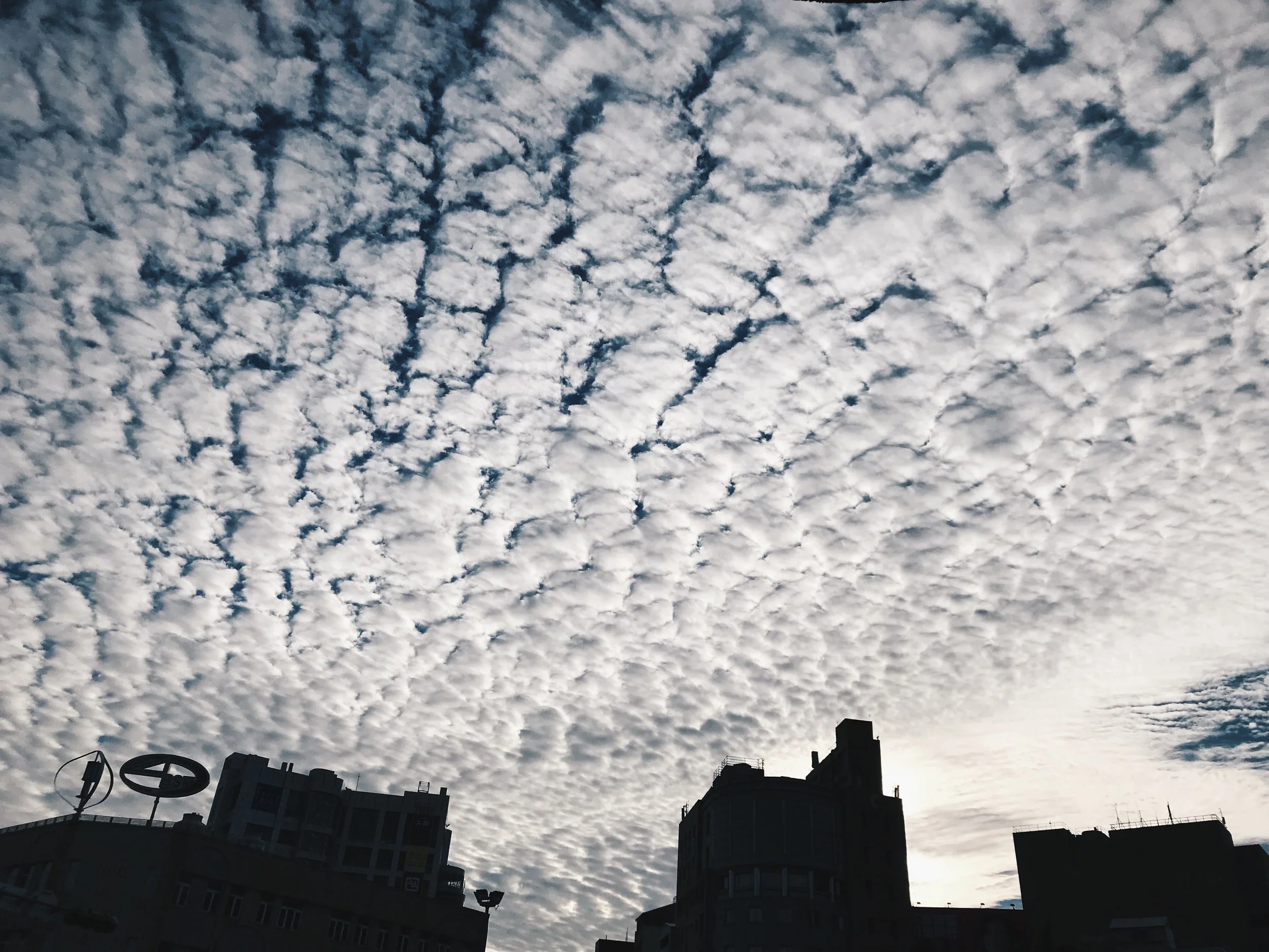 E7B1507E-653B-48E3-8A2B-517AC86686B0.JPG
