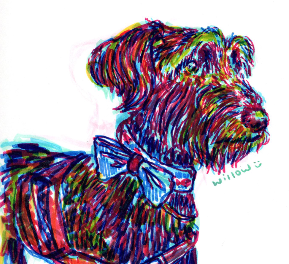 Screenshot 2026-03-04 at 3.25.40 PM.png