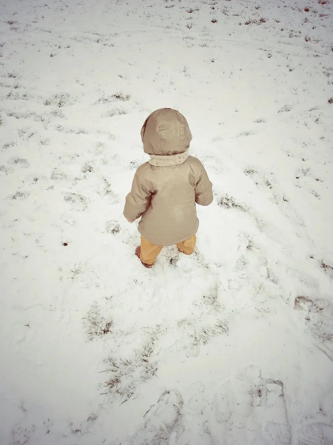 Vannacht met 19 maanden sliep onze dochter door! 

Ze krijgt en mag nog steeds borstmelk, ook 's nachts. 

Geen afbouwen, geen slaaptraining, niet alleen slapen, niet uit laten huilen. 

En ik voel me trots. Want het is niet gemakkelijk, om te kiezen