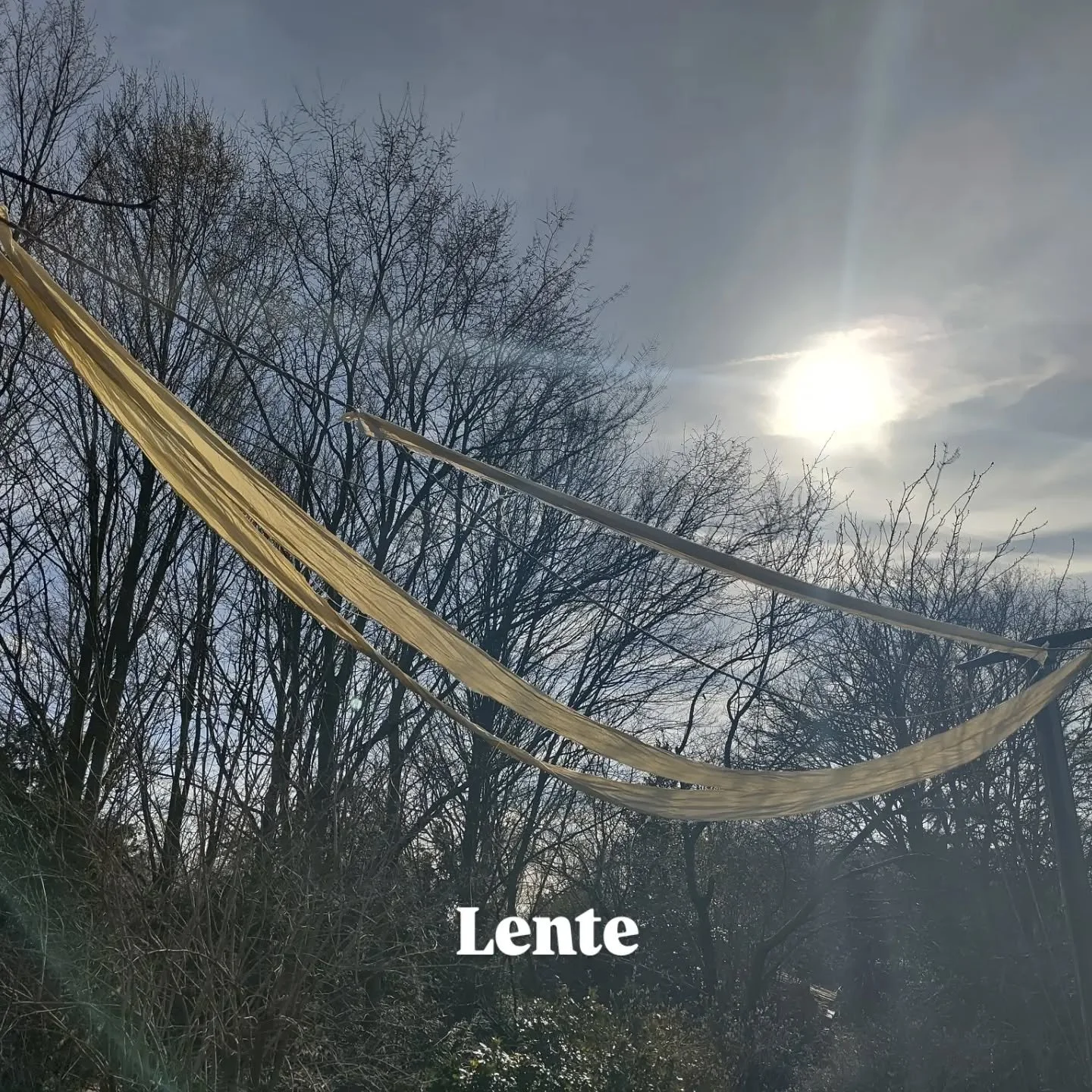 Spring is here! Maart roerde zijn staart en POEF toen was het april 🌬️🌞

Belly bind te drogen
Lekkerste bakkie in de zon
Broek made by MOM (lief kindje ook by the way)
Buurtjes 60 jaar 💍🥂
Kraamvoedsel: granola bars
Llllight echo foto little girl
