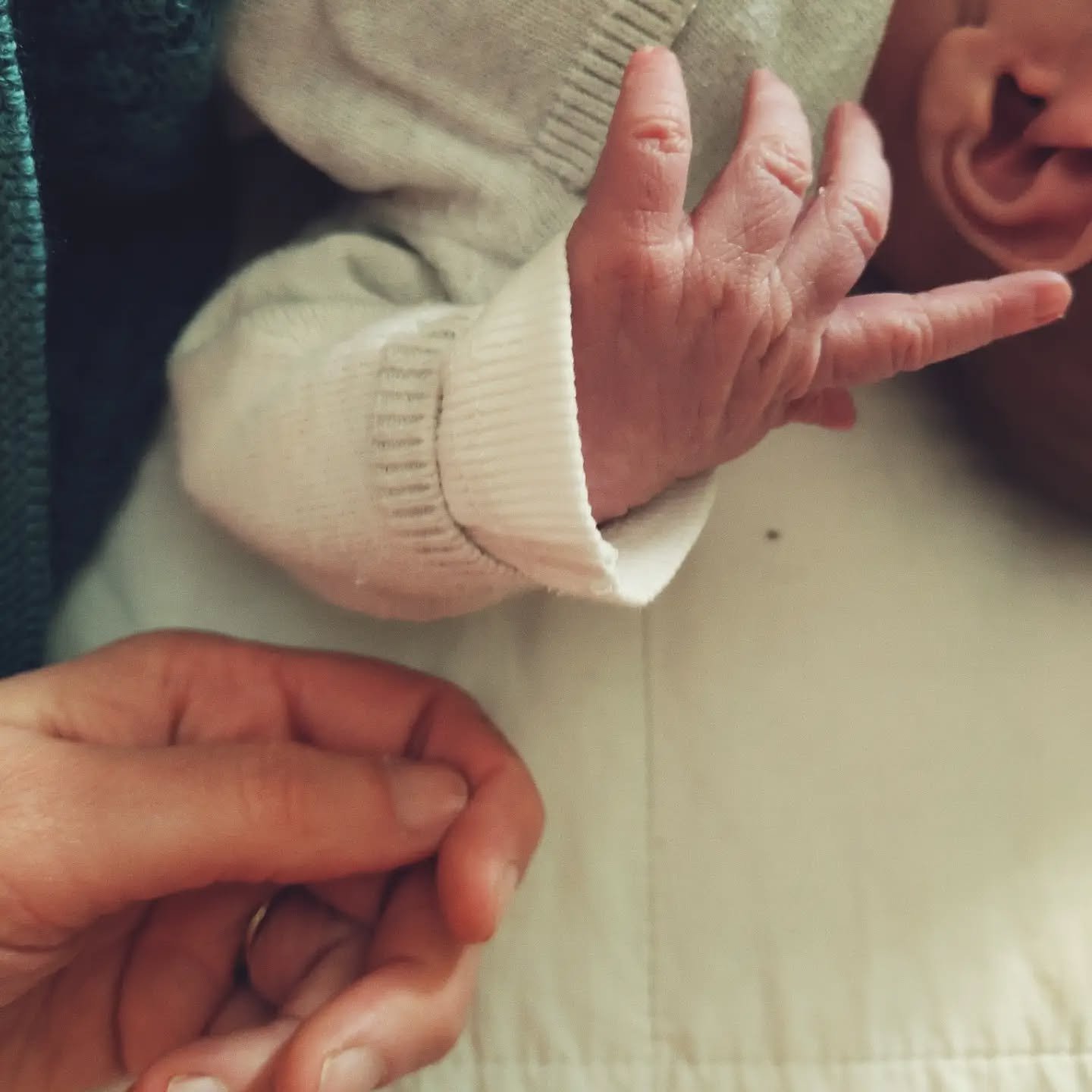Mei, de maand dat ik dit jaar 40 werd. Mijlpaal wel, voel me rijk:
&bull; lieve kleine jongen, welkom!
&bull; koekjes met broers en zus
&bull; lotus! Placenta in kruiden en zout 🫶
&bull; liefste kaartjes
&bull; 40 🎉 @chouxrestaurant 
&bull; bijen z