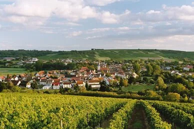 Stadecken Elsheim - Villa Musica 