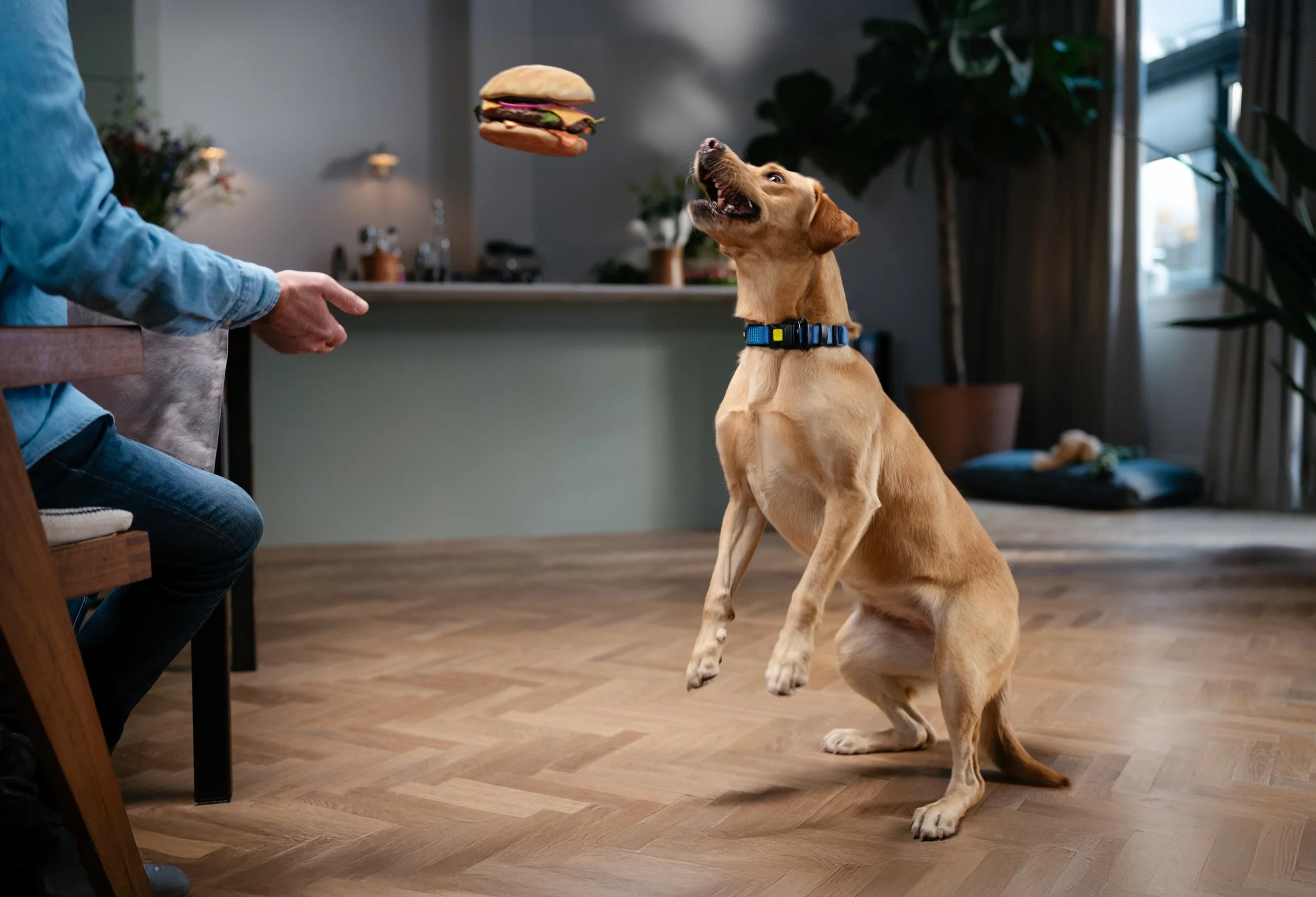 Welkoop_3_by Isabell Janssen.JPG