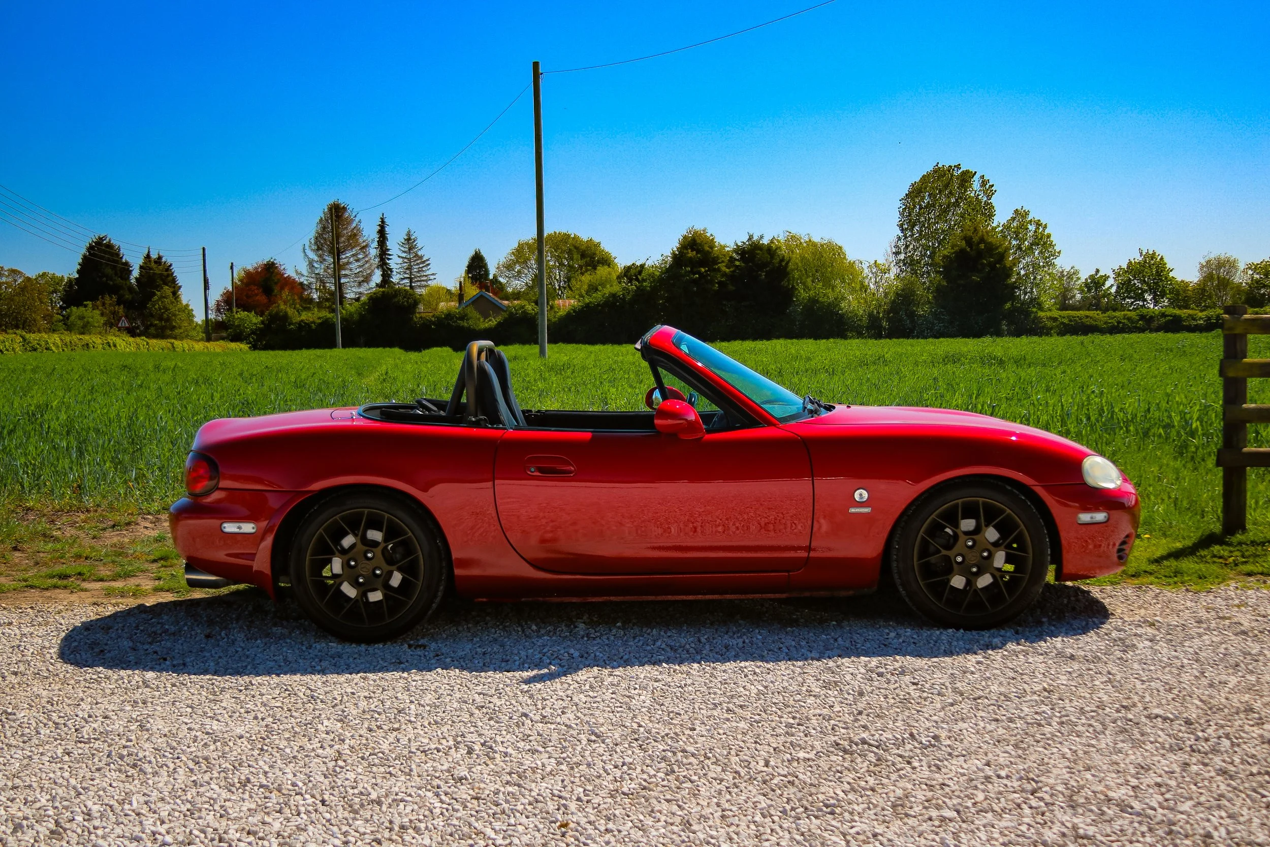 BLYNSONAPRIL-117.jpg