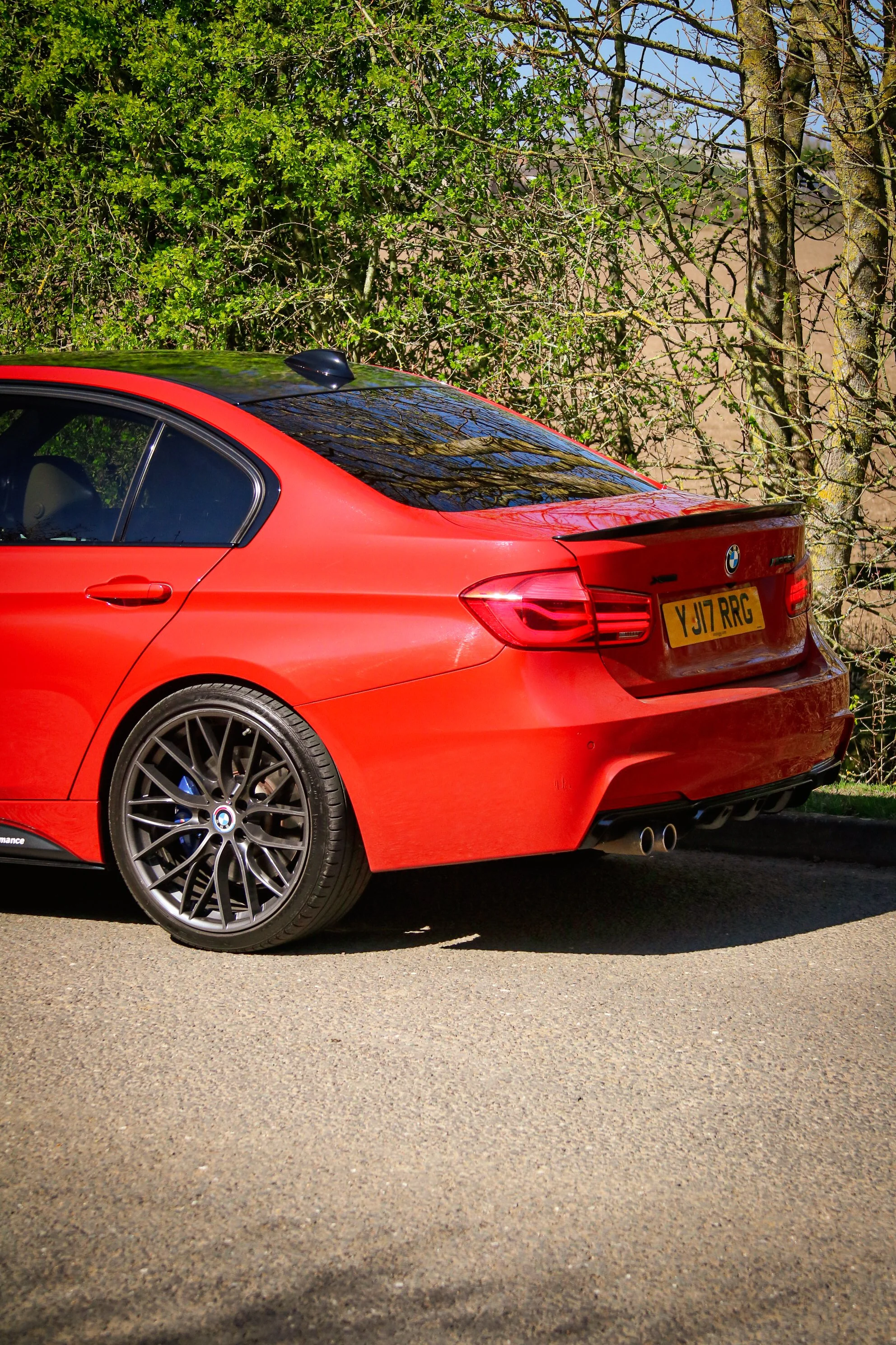 ALEX BMW-02.jpg