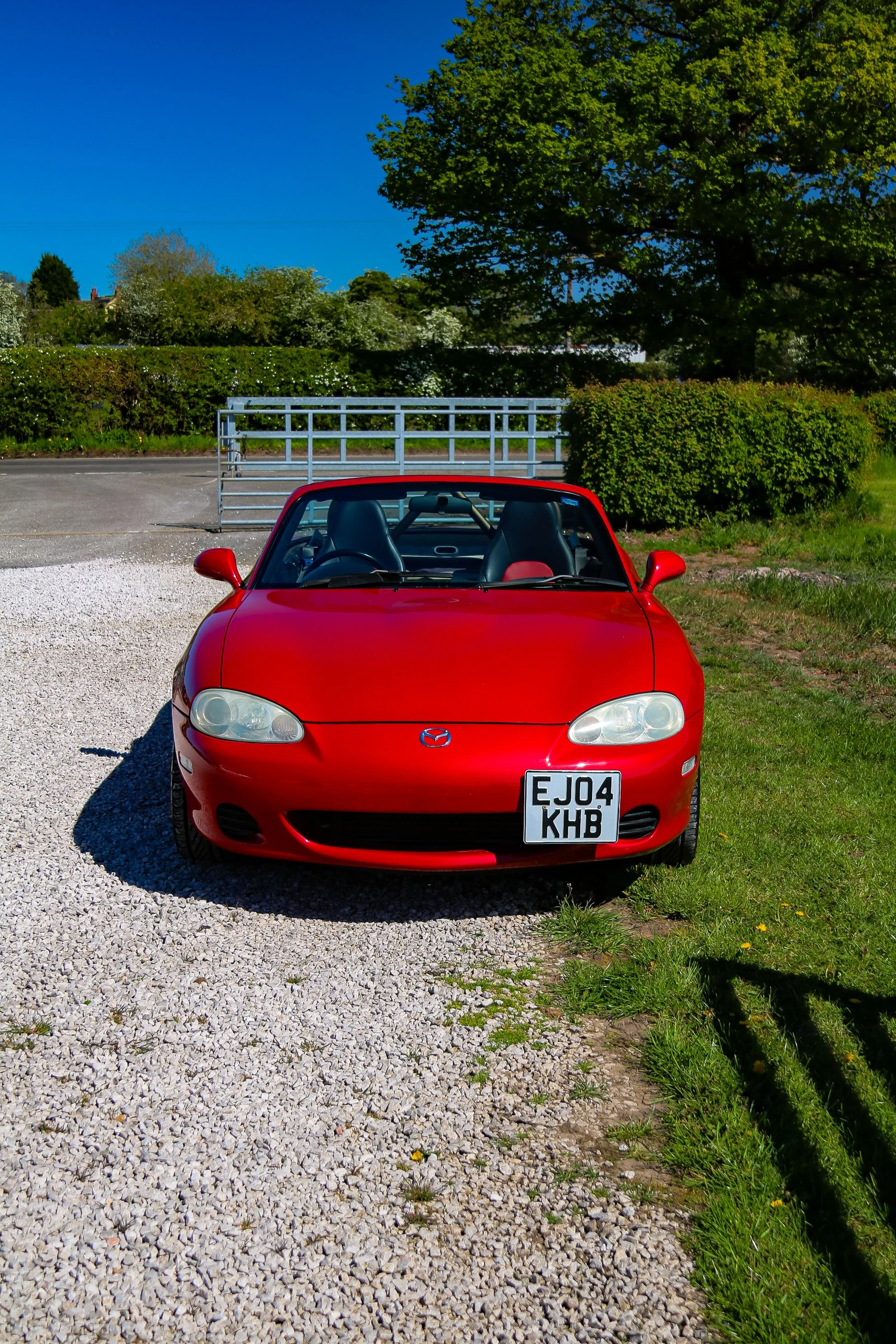 BLYNSONAPRIL-93.jpg