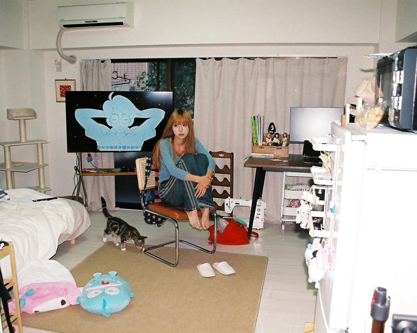 girls room diary hana