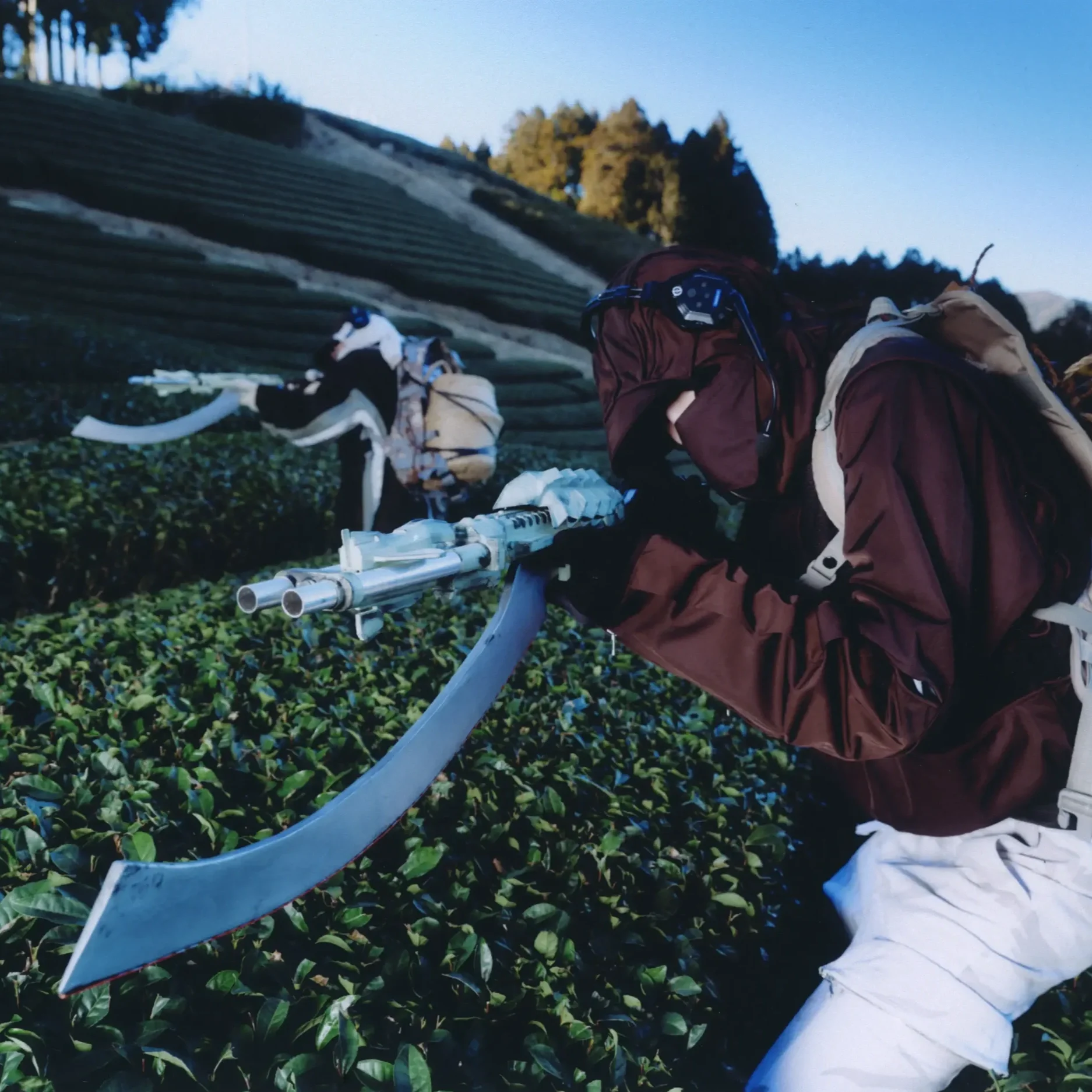 FFFPOSTALSERVICE - On Recon in the Tea Fields of Shizuoka