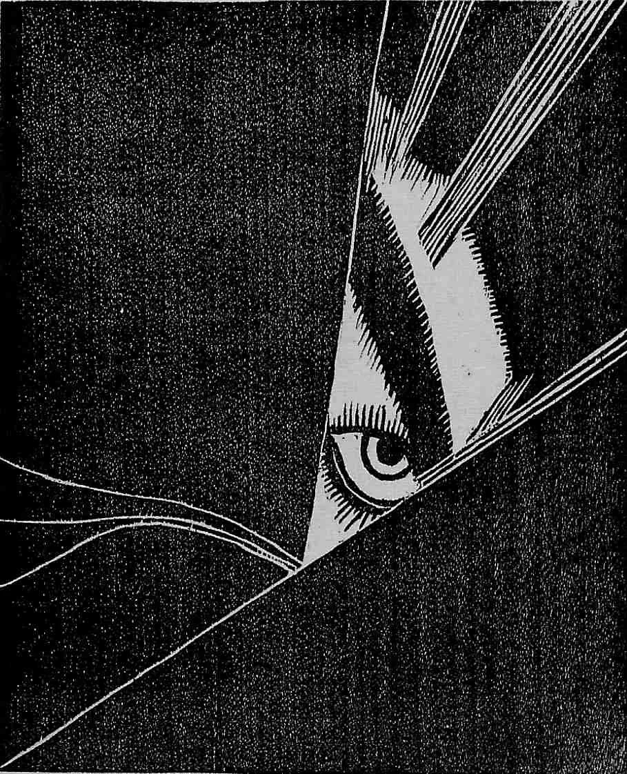 onchi koshiro tears