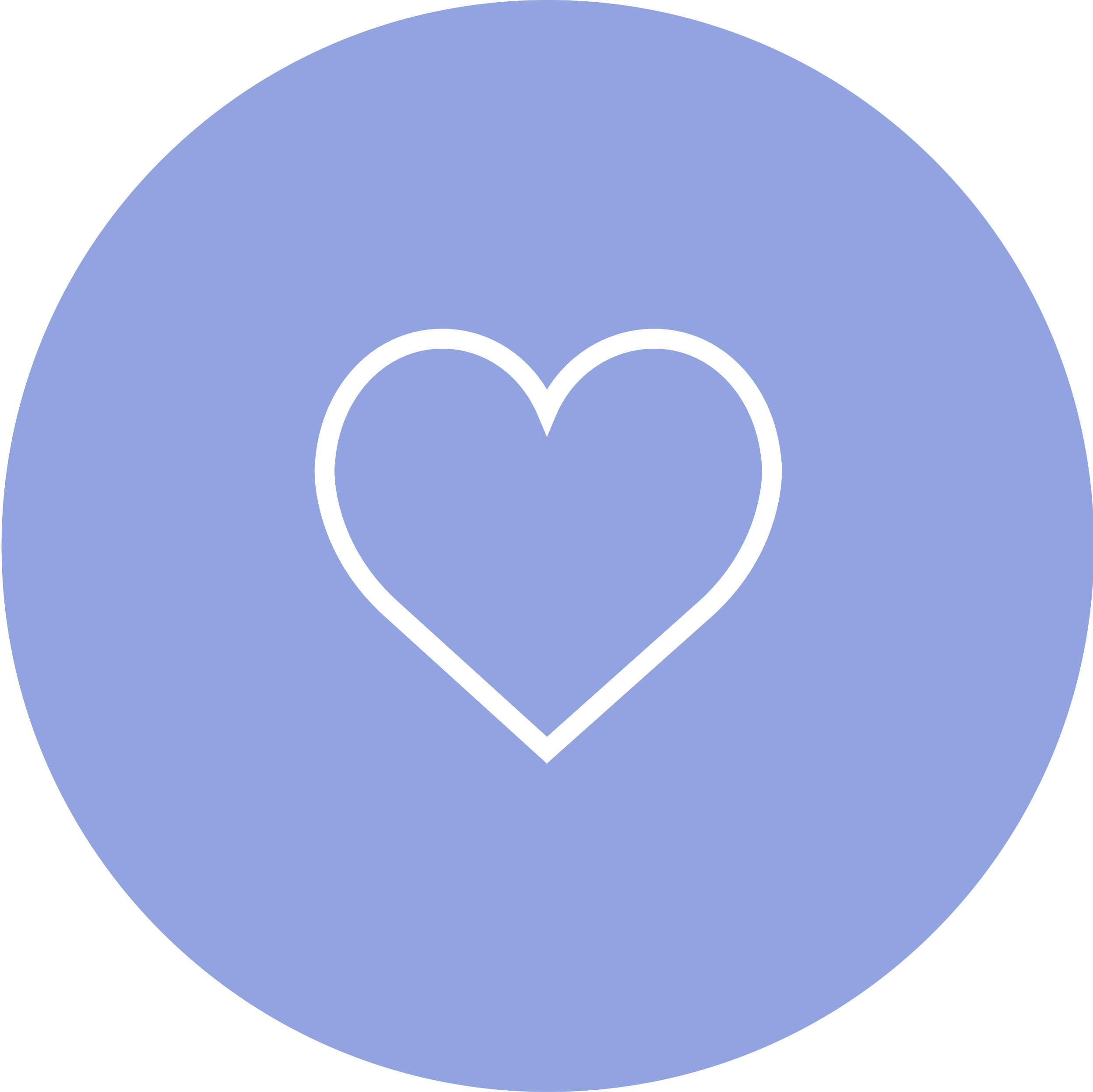 Testimonials Thumbnail.png