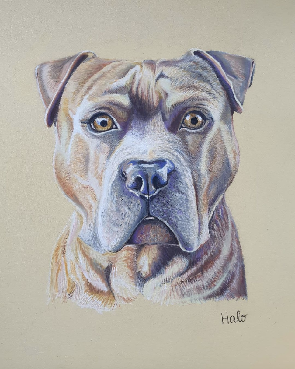 Screenshot 2023-04-28 at 11.48.05.png