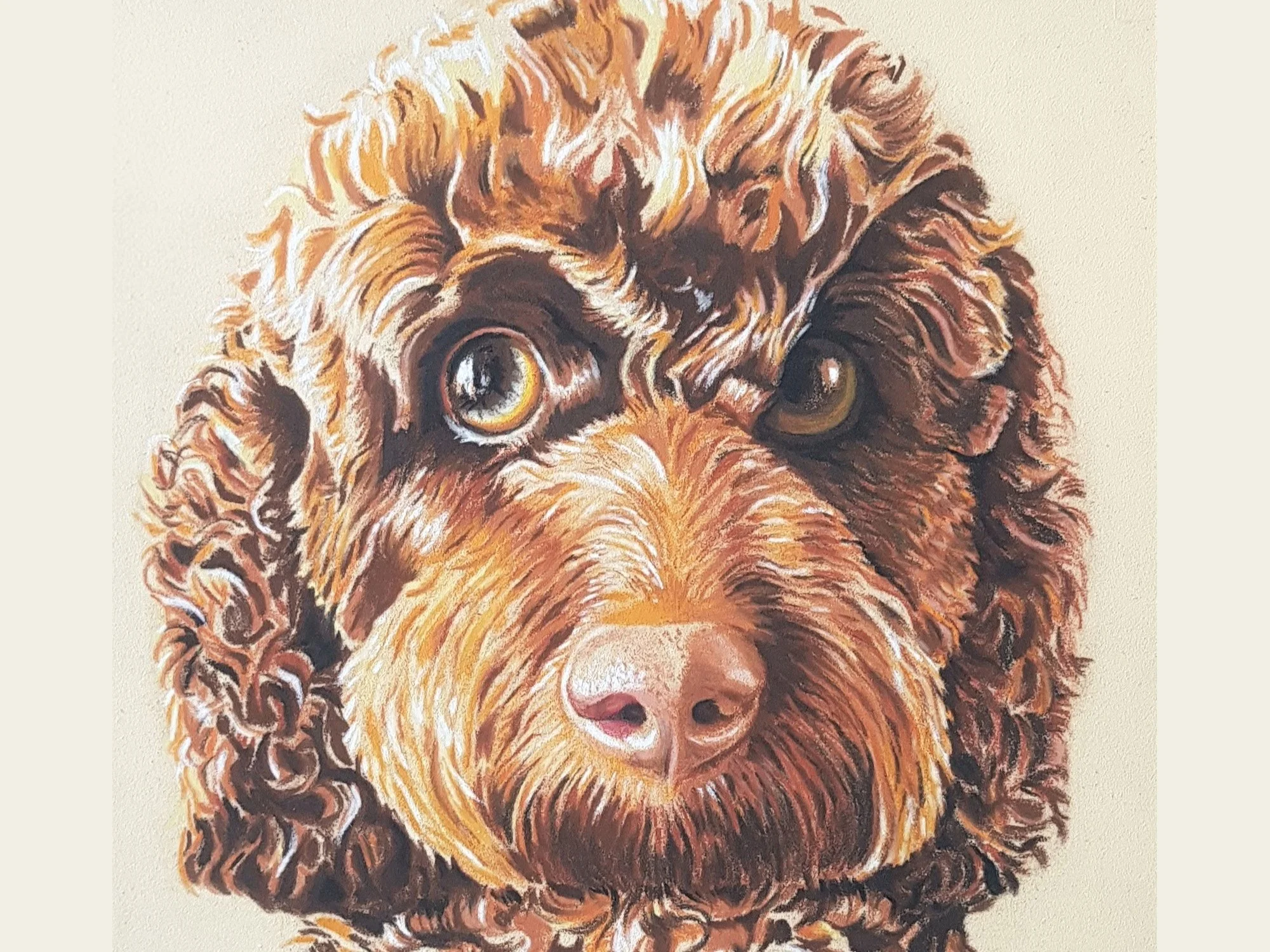 Extracurricular Creative