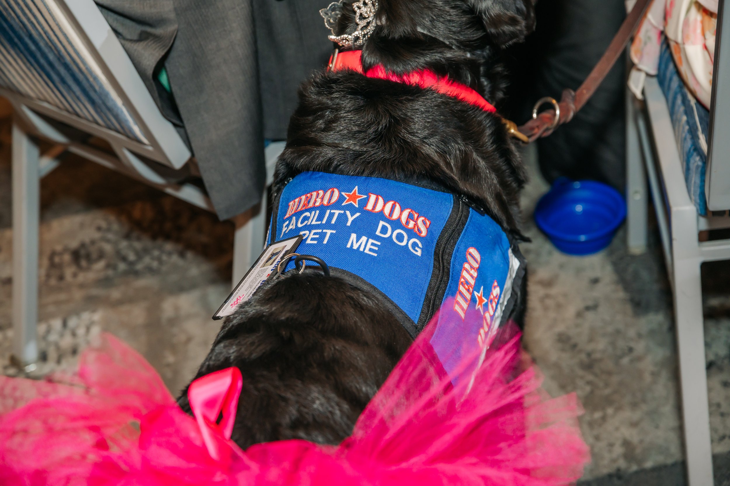 Spring Fling 2026 228.jpg