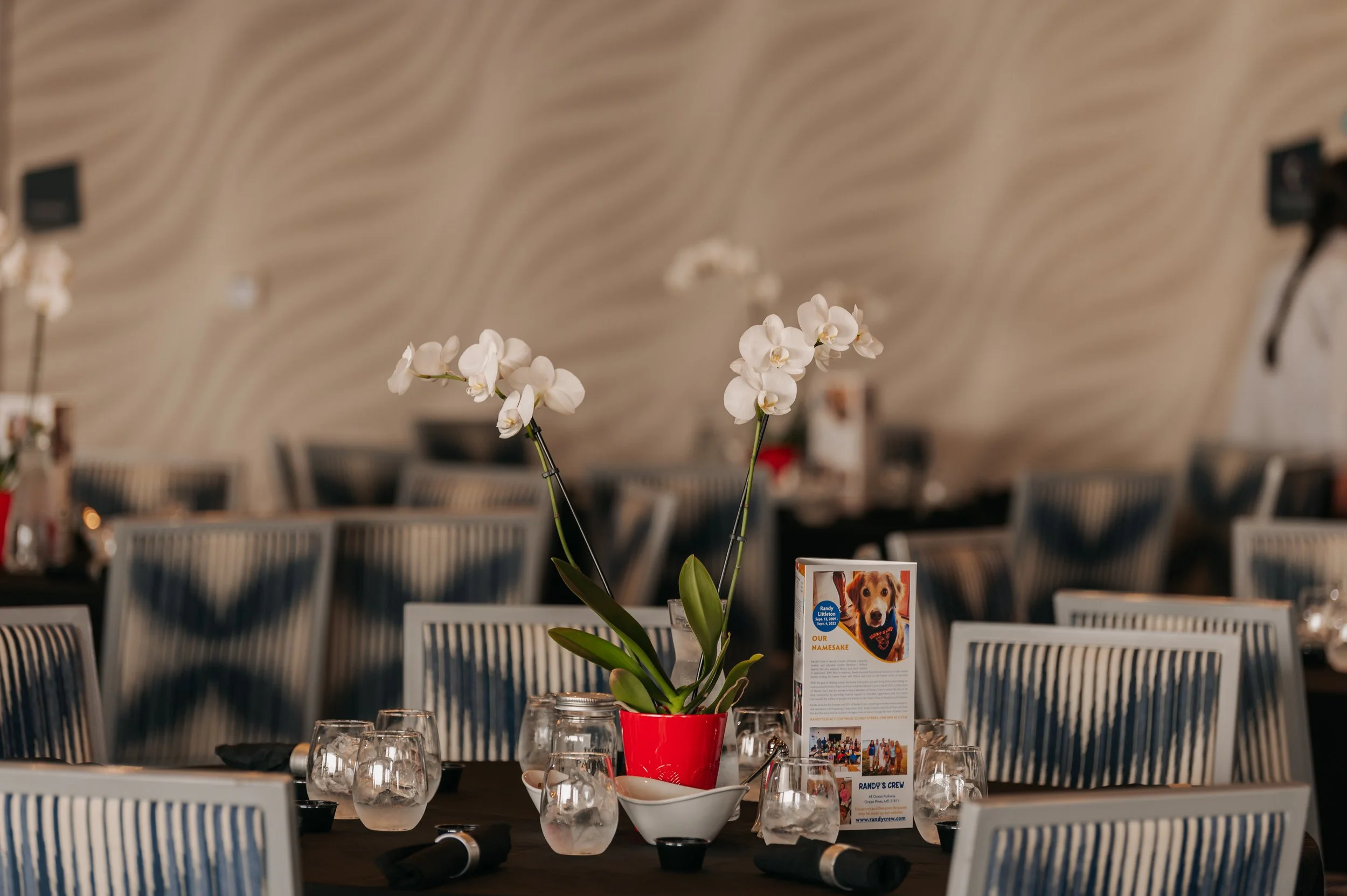 Spring Fling 2026 2.jpg