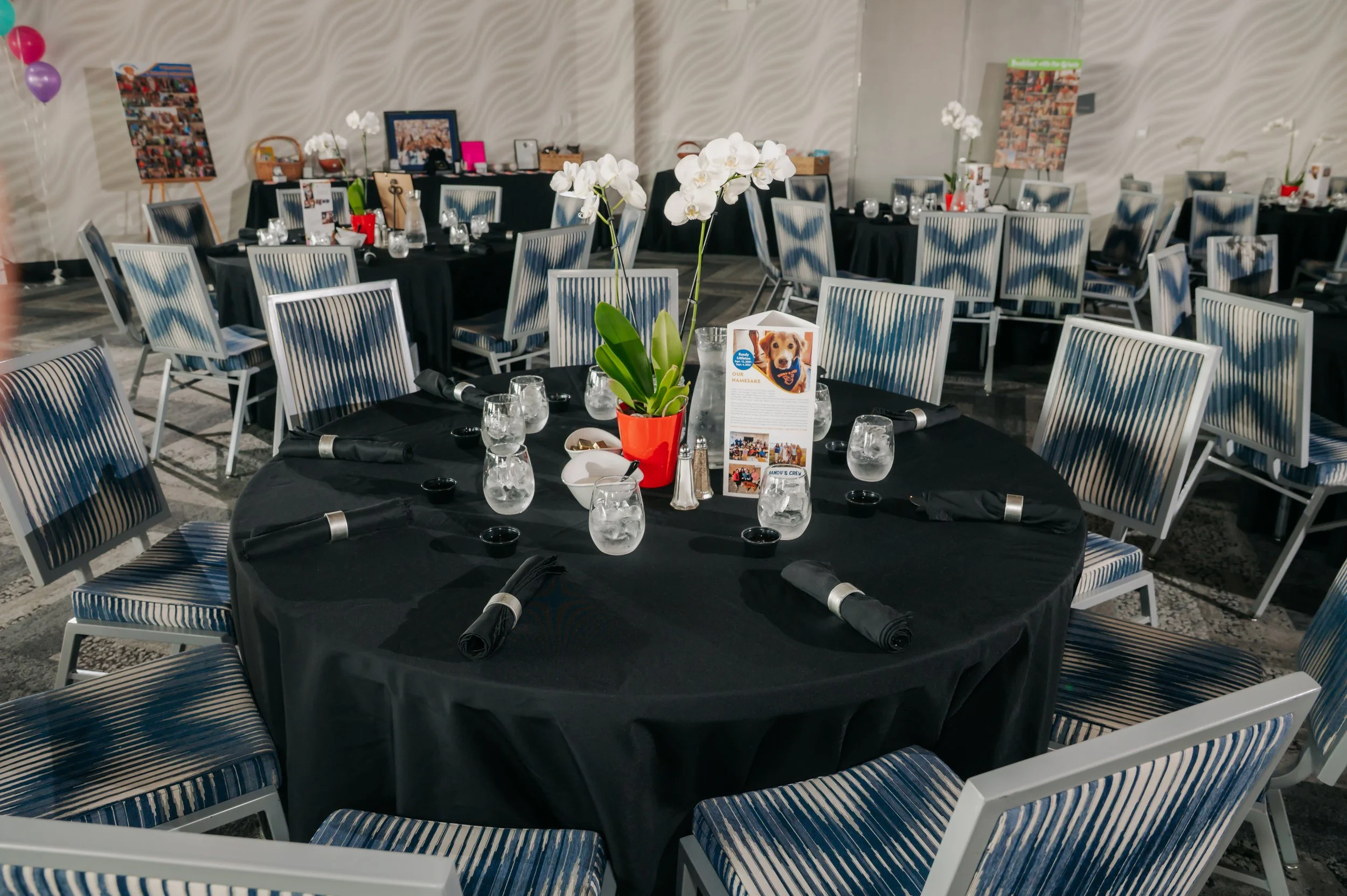 Spring Fling 2026 4.jpg